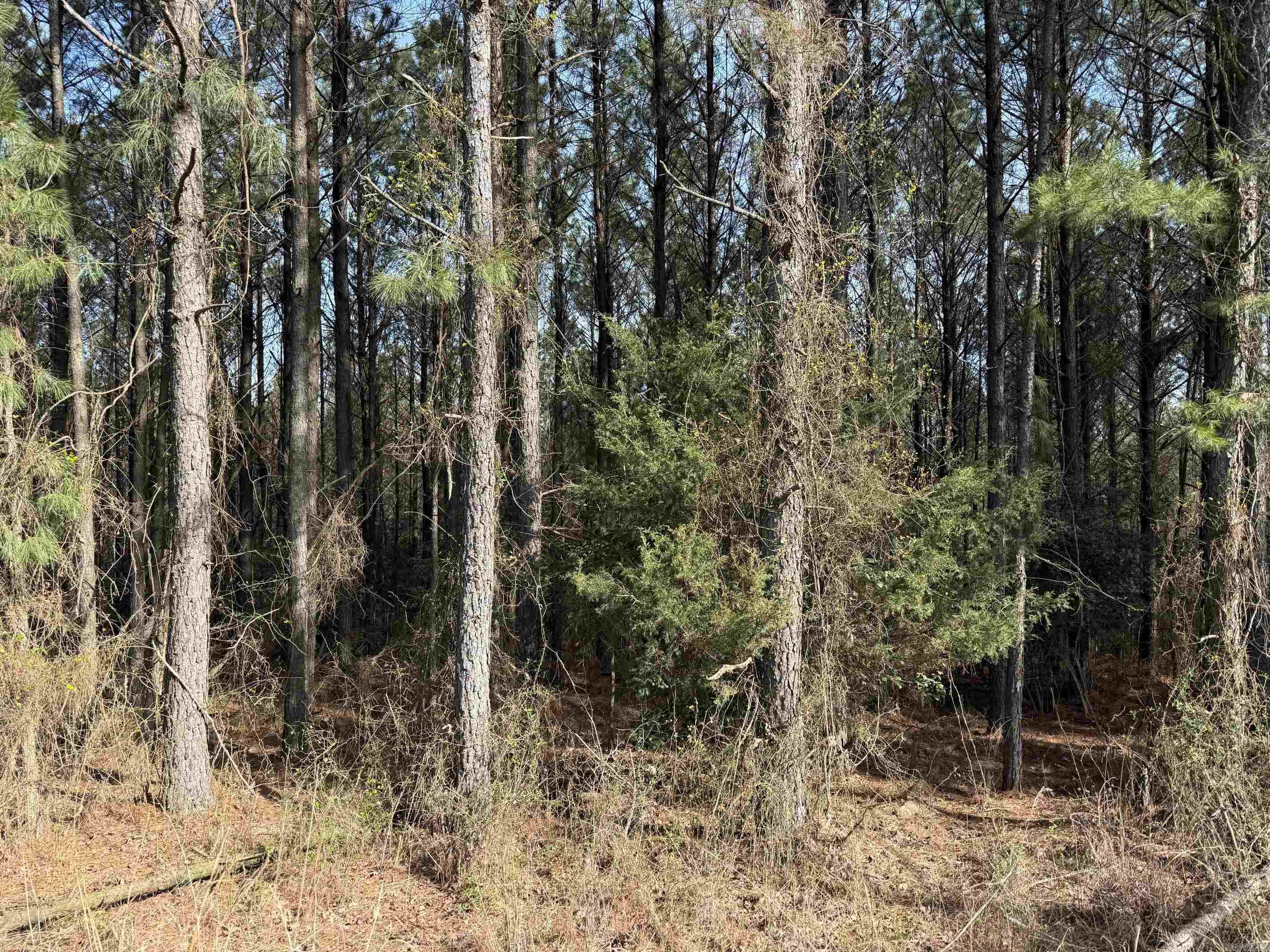 TBD Polk Road 13  Wickes, AR