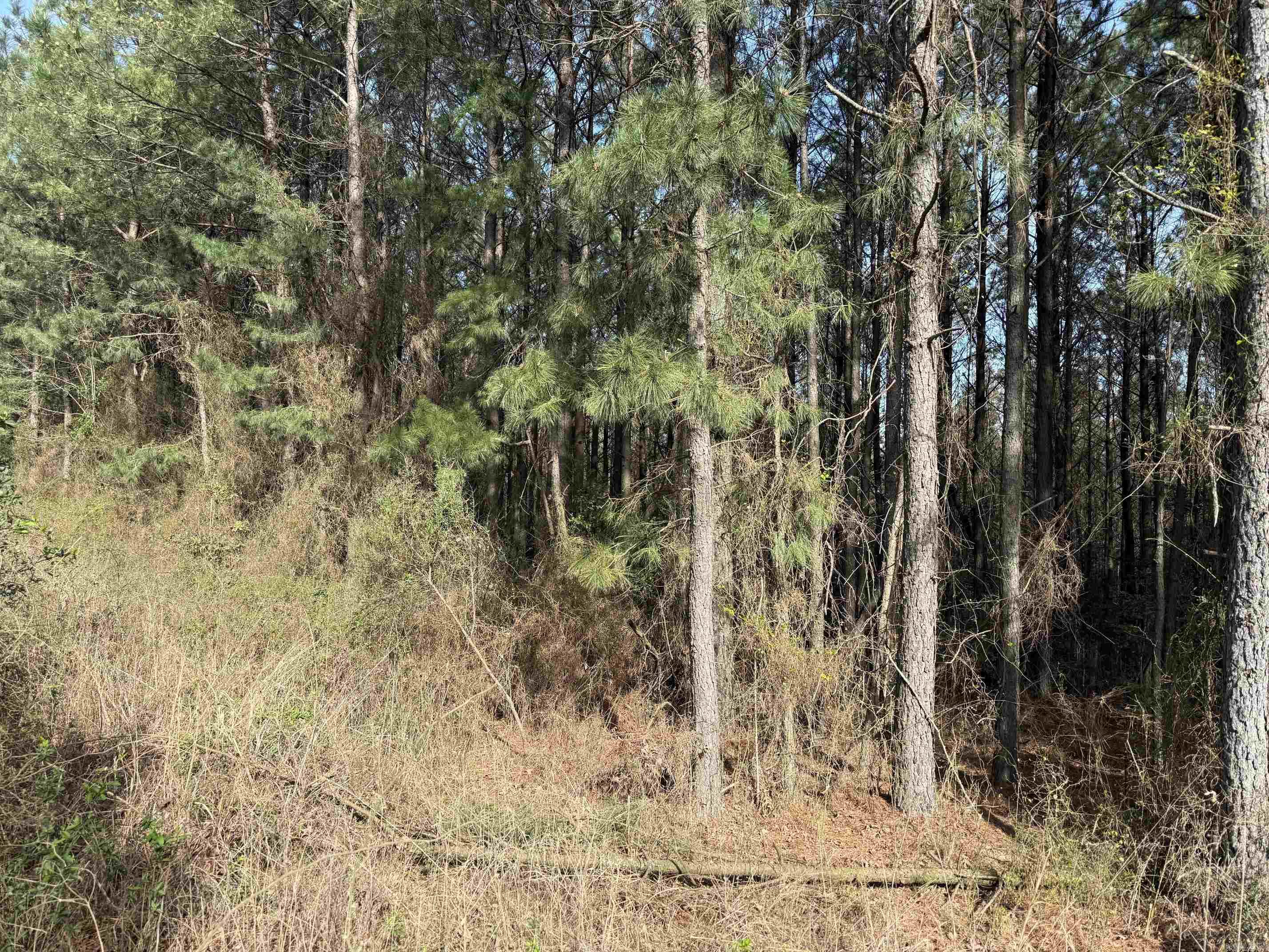 TBD Polk Road 13  Wickes, AR