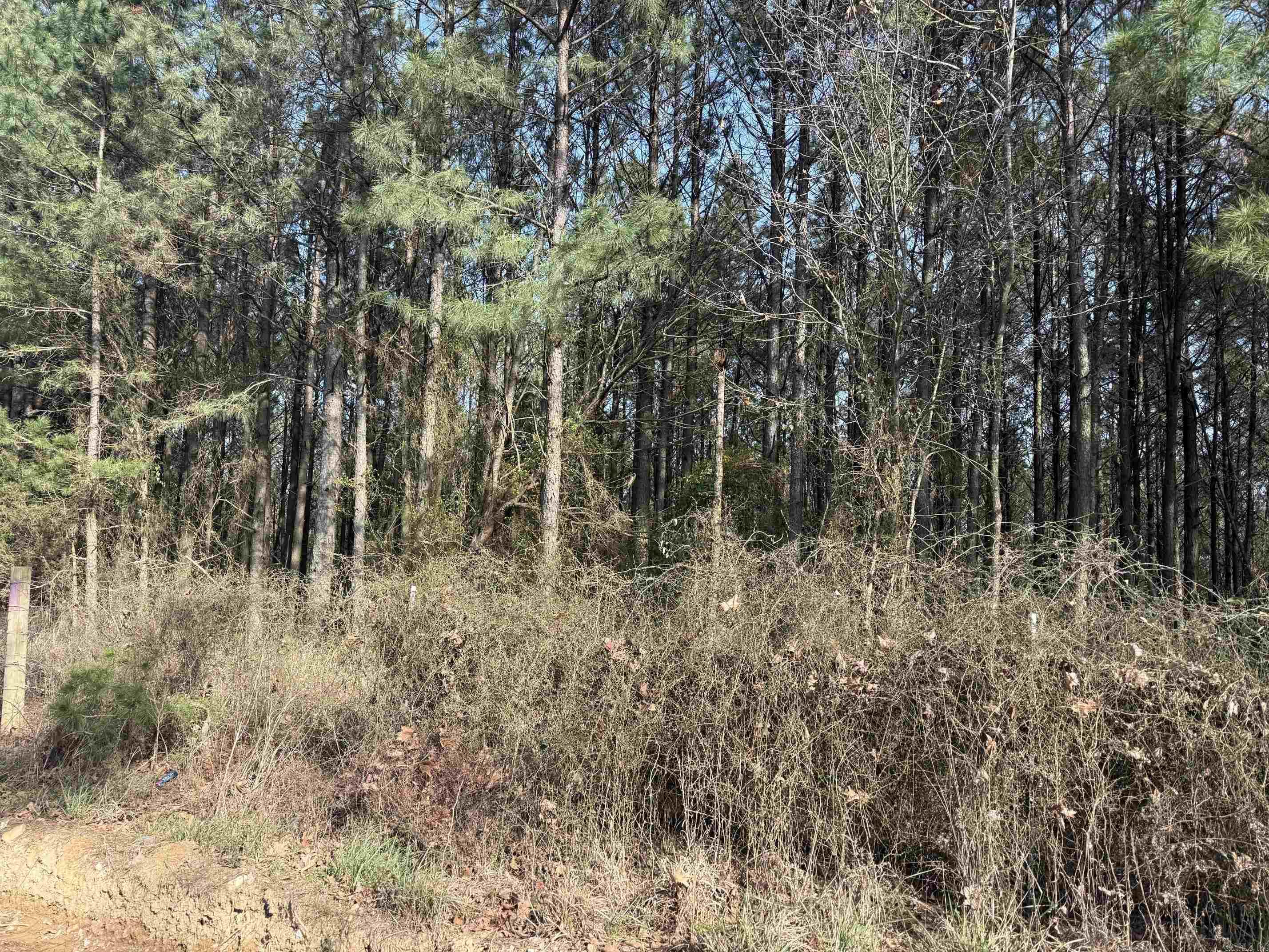 TBD Polk Road 13  Wickes, AR