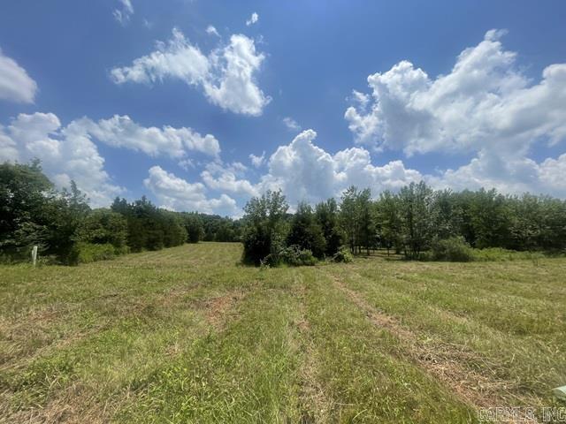 165 Valley Ranch Lane  Mena, AR