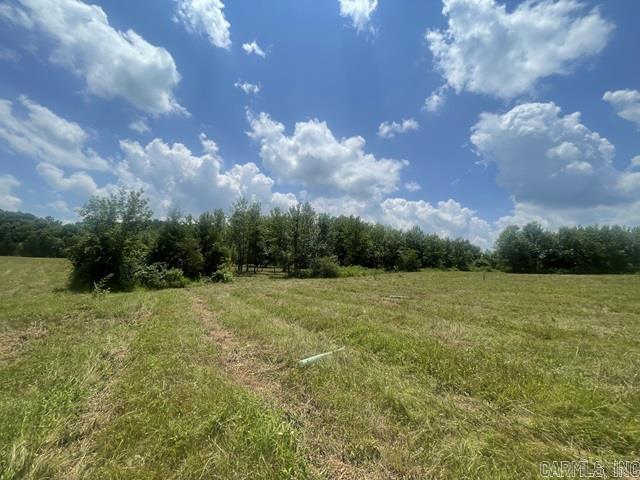 165 Valley Ranch Lane  Mena, AR