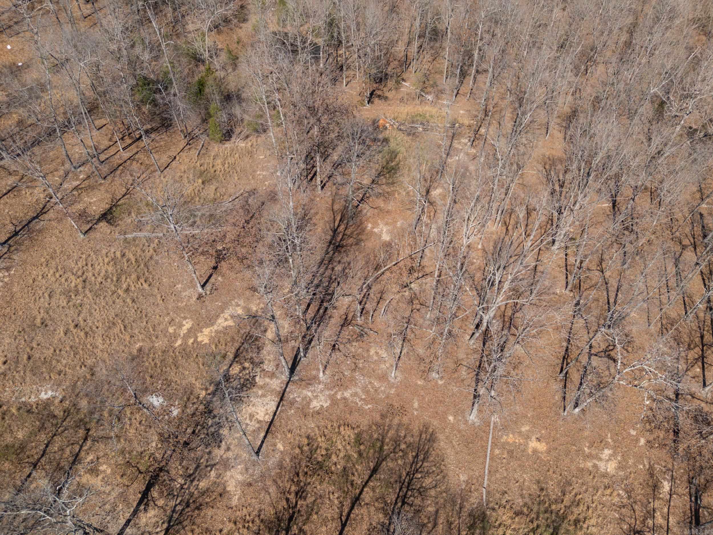 Lot 44 & 45 Hwy 62 East  Gepp, AR