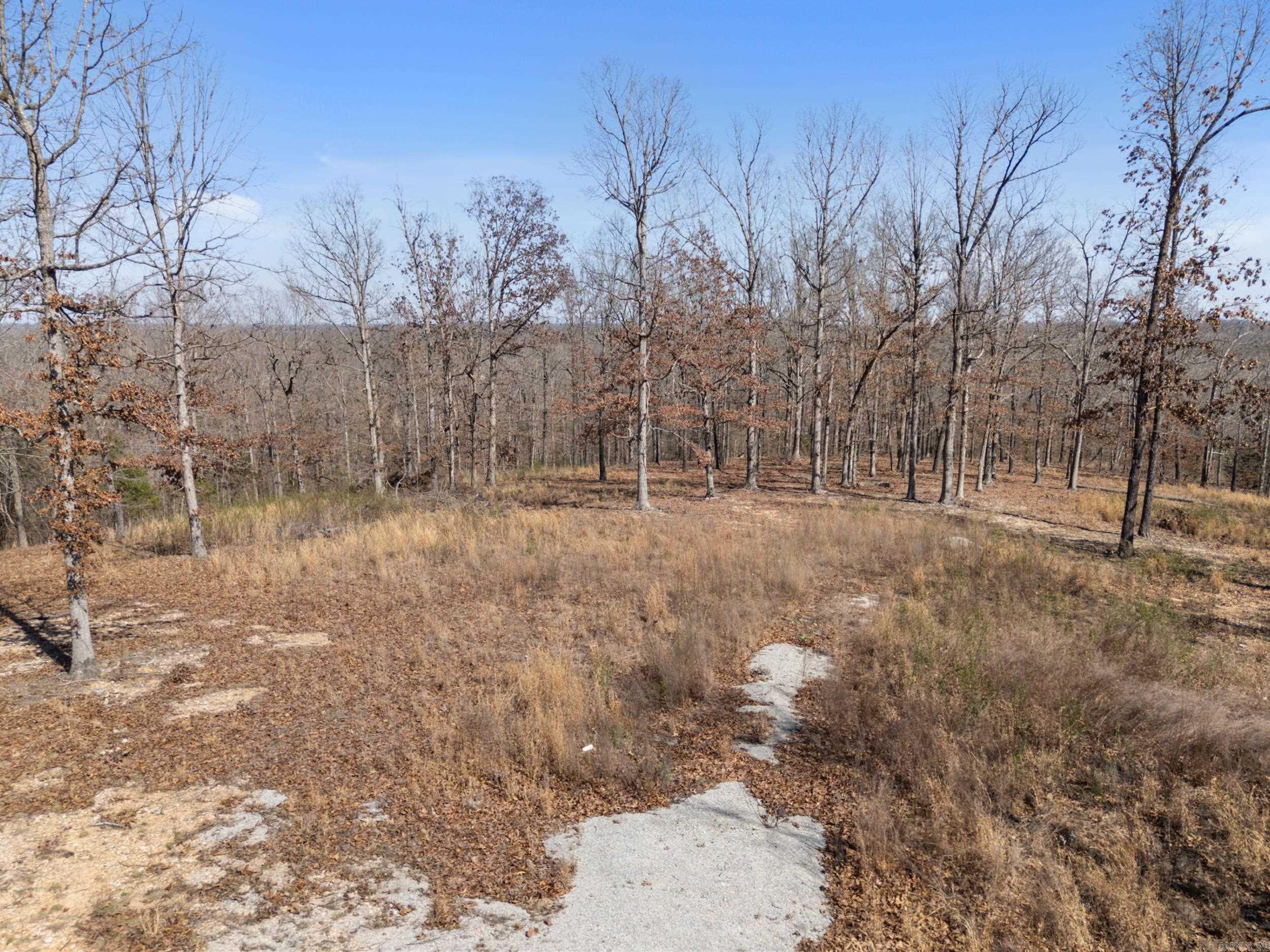 Lot 44 & 45 Hwy 62 East  Gepp, AR