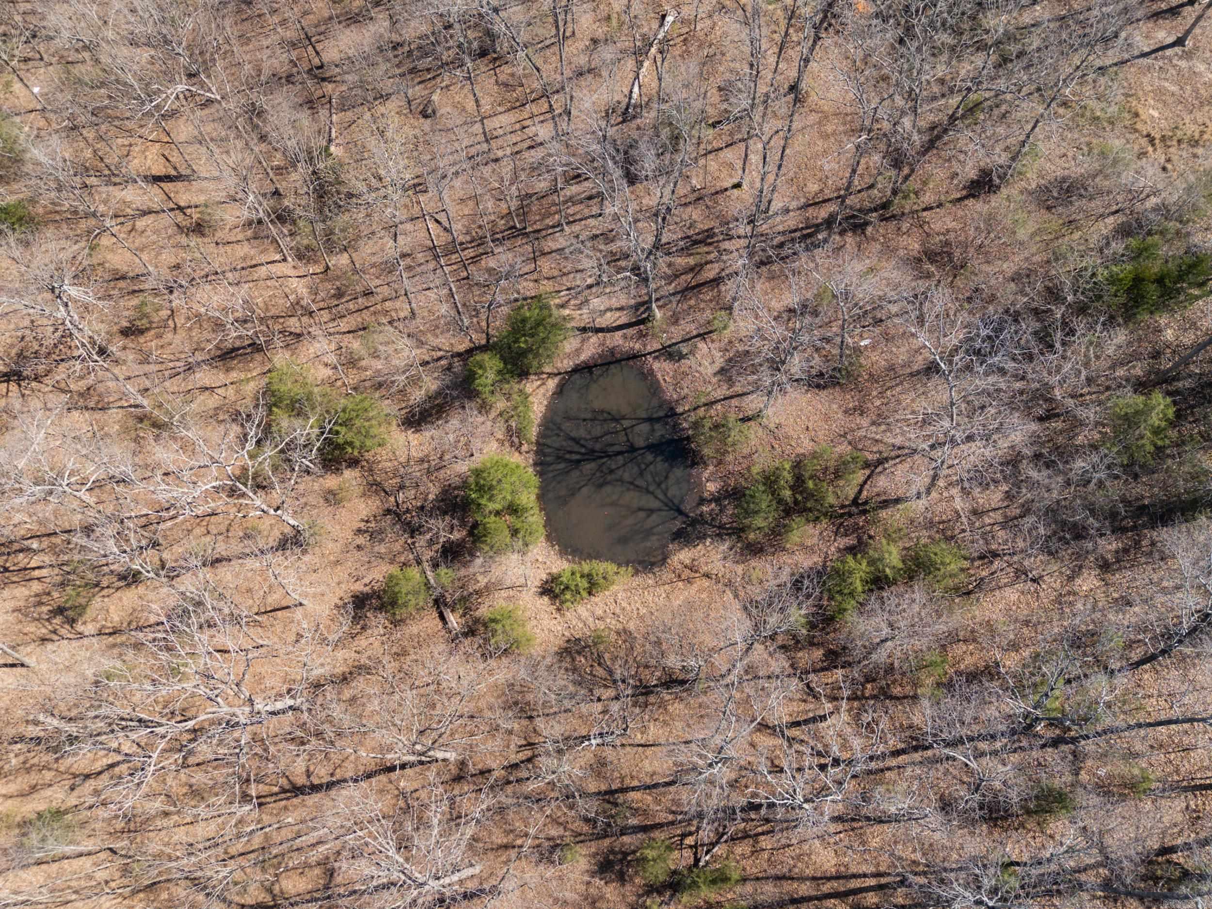 Lot 44 & 45 Hwy 62 East  Gepp, AR