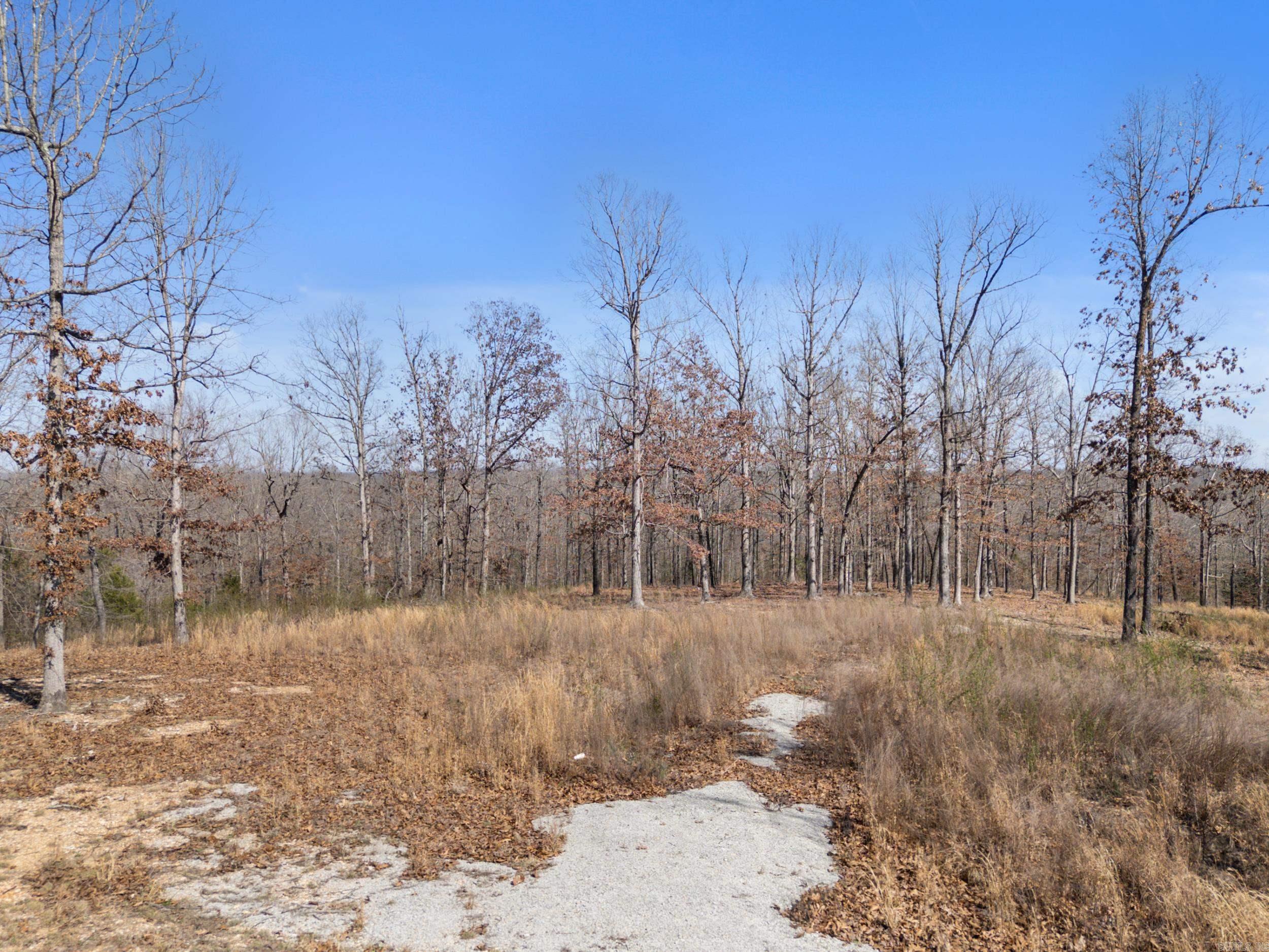 Lot 44 & 45 Hwy 62 East  Gepp, AR