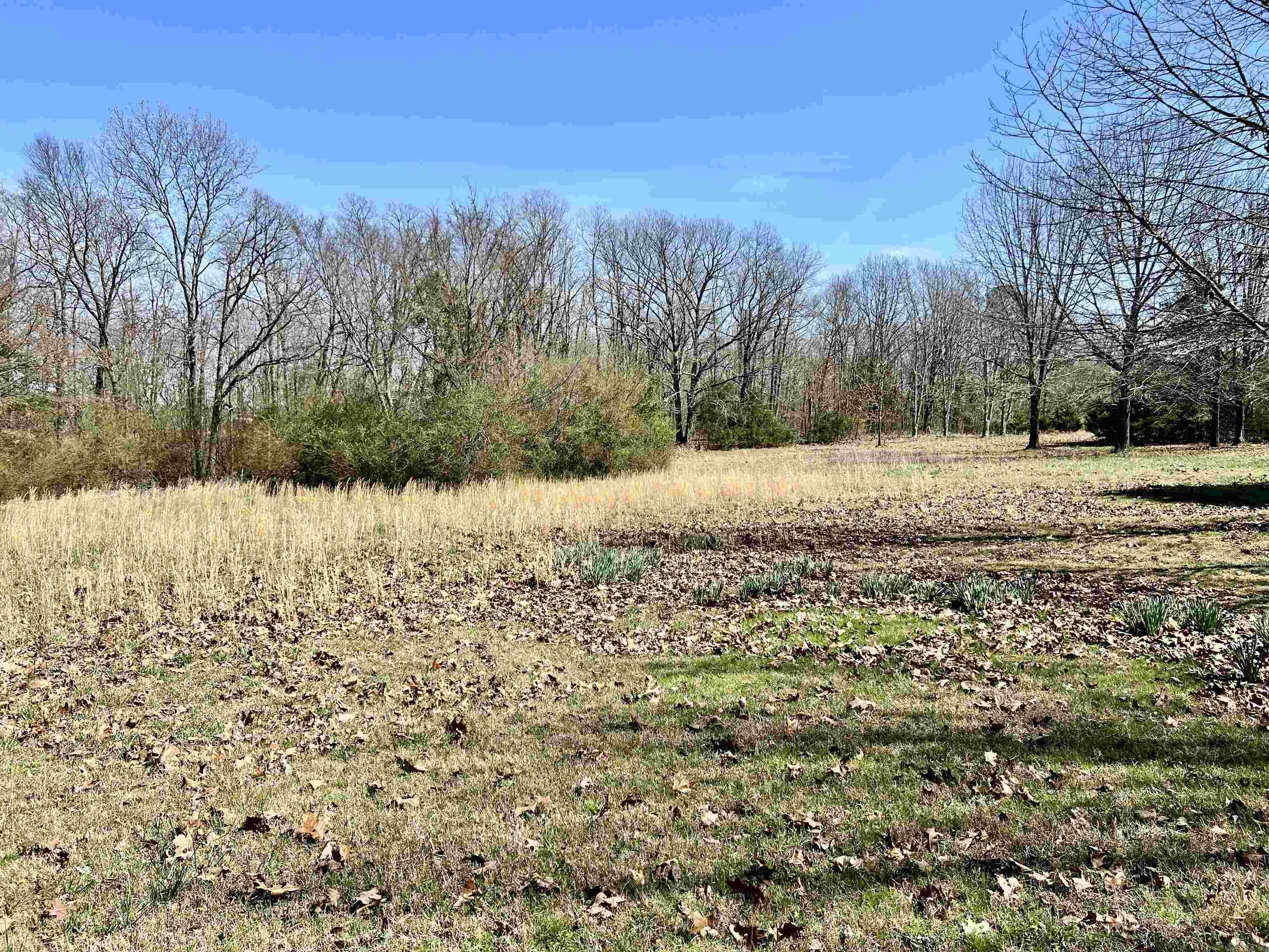 5060 Heber Springs Rd N  Drasco, AR