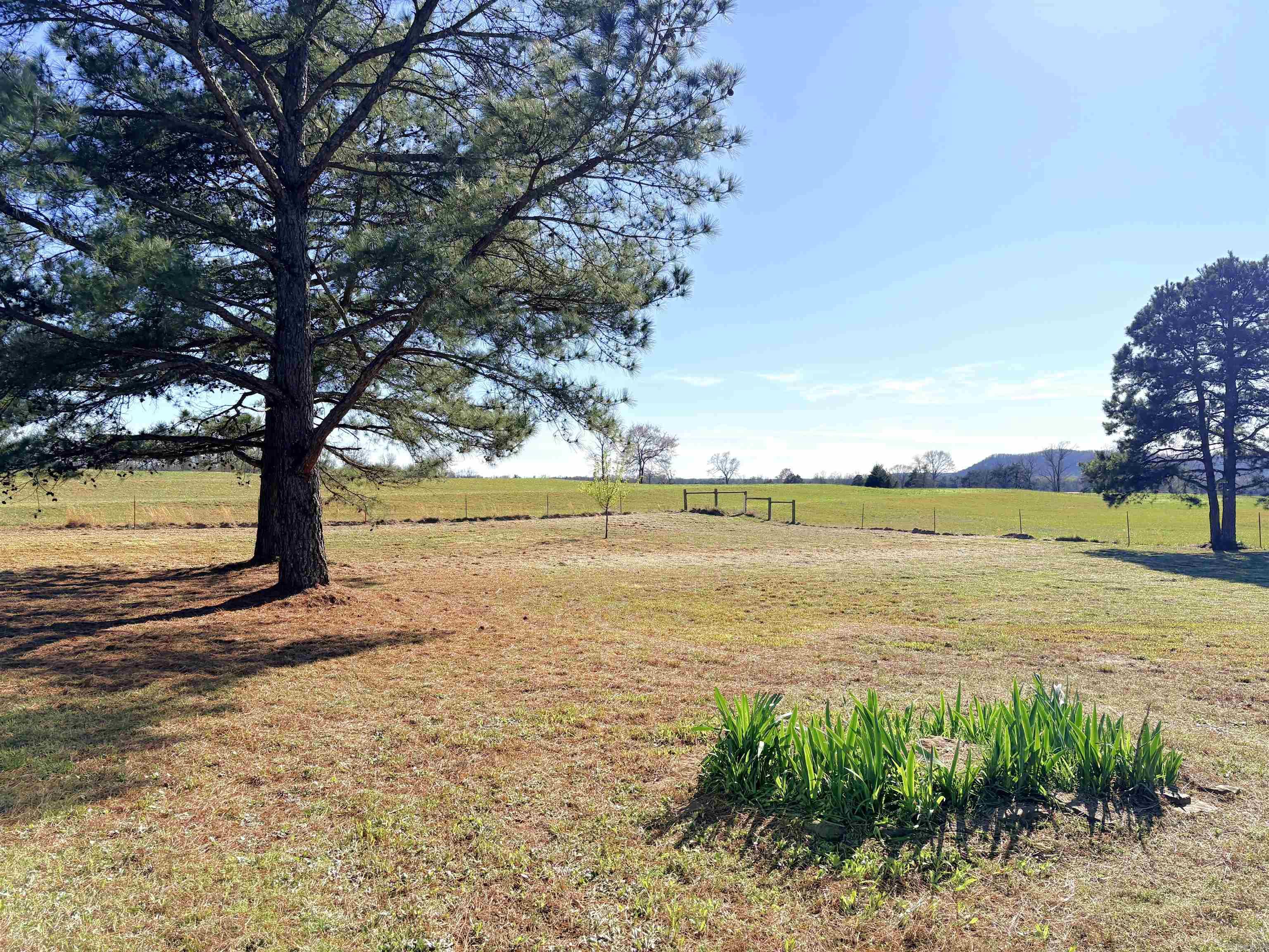 20 Buck Branch  Quitman, AR