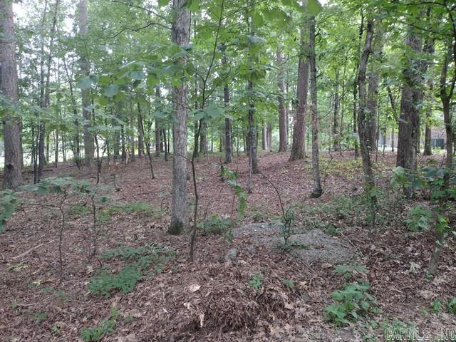 12 Acceso  Hot Springs Village, AR