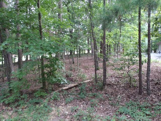 12 Acceso  Hot Springs Village, AR