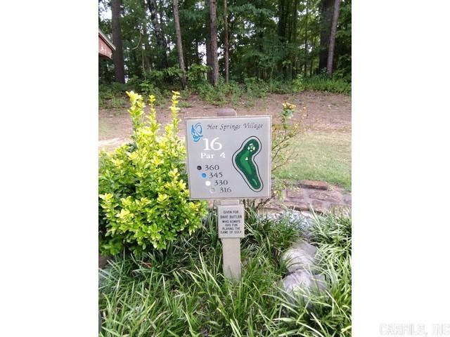 12 Acceso  Hot Springs Village, AR