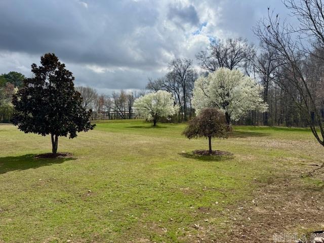 392 Walker  Higginson, AR