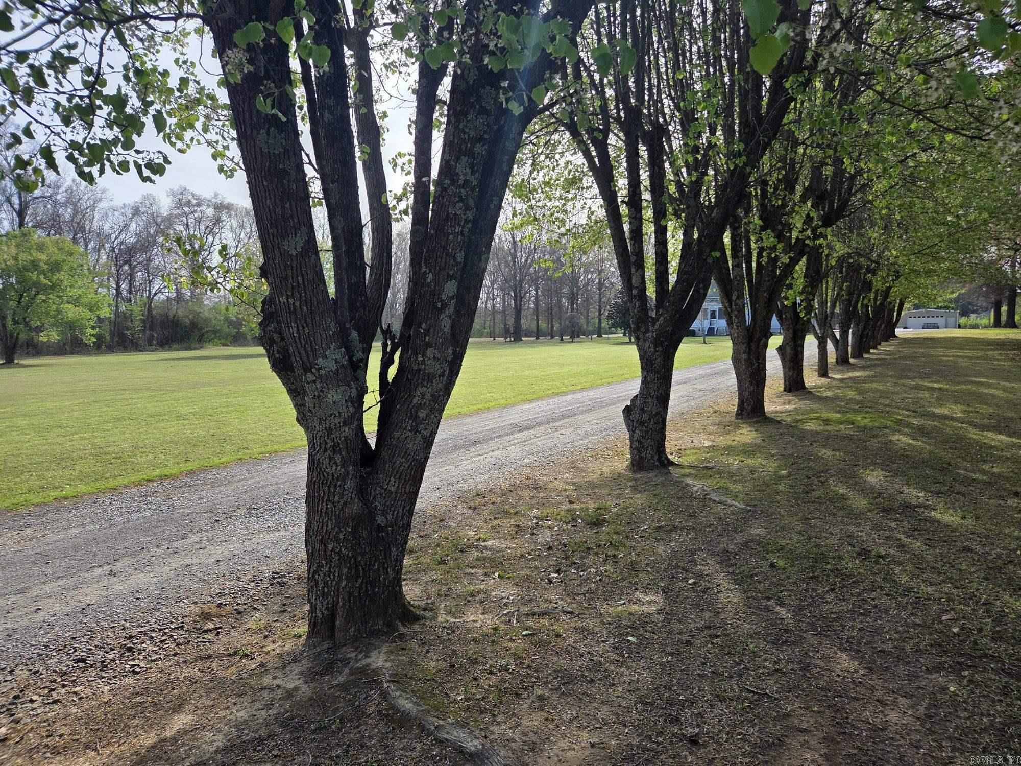 392 Walker  Higginson, AR