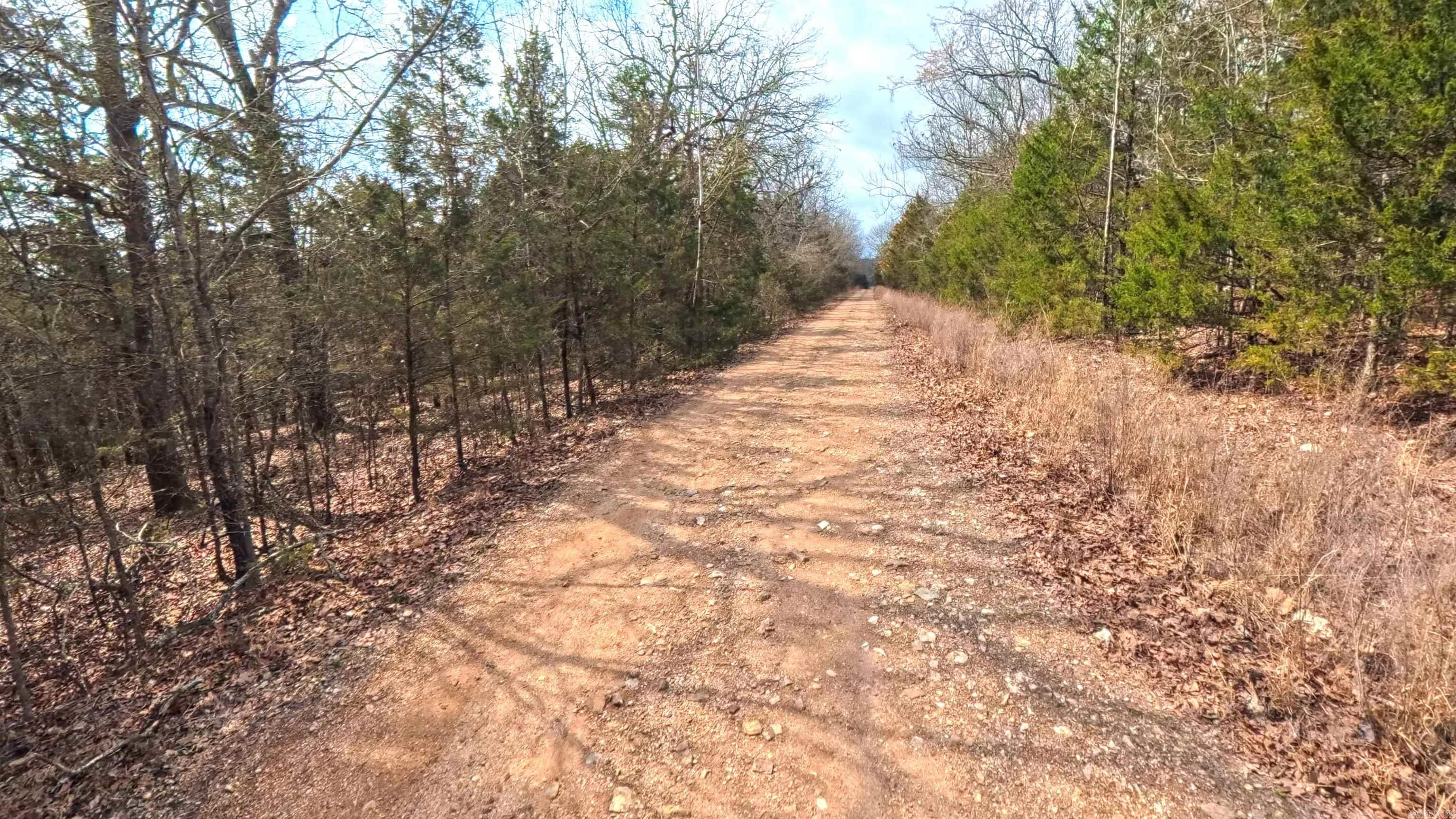 000 Rainwood  Yellville, AR