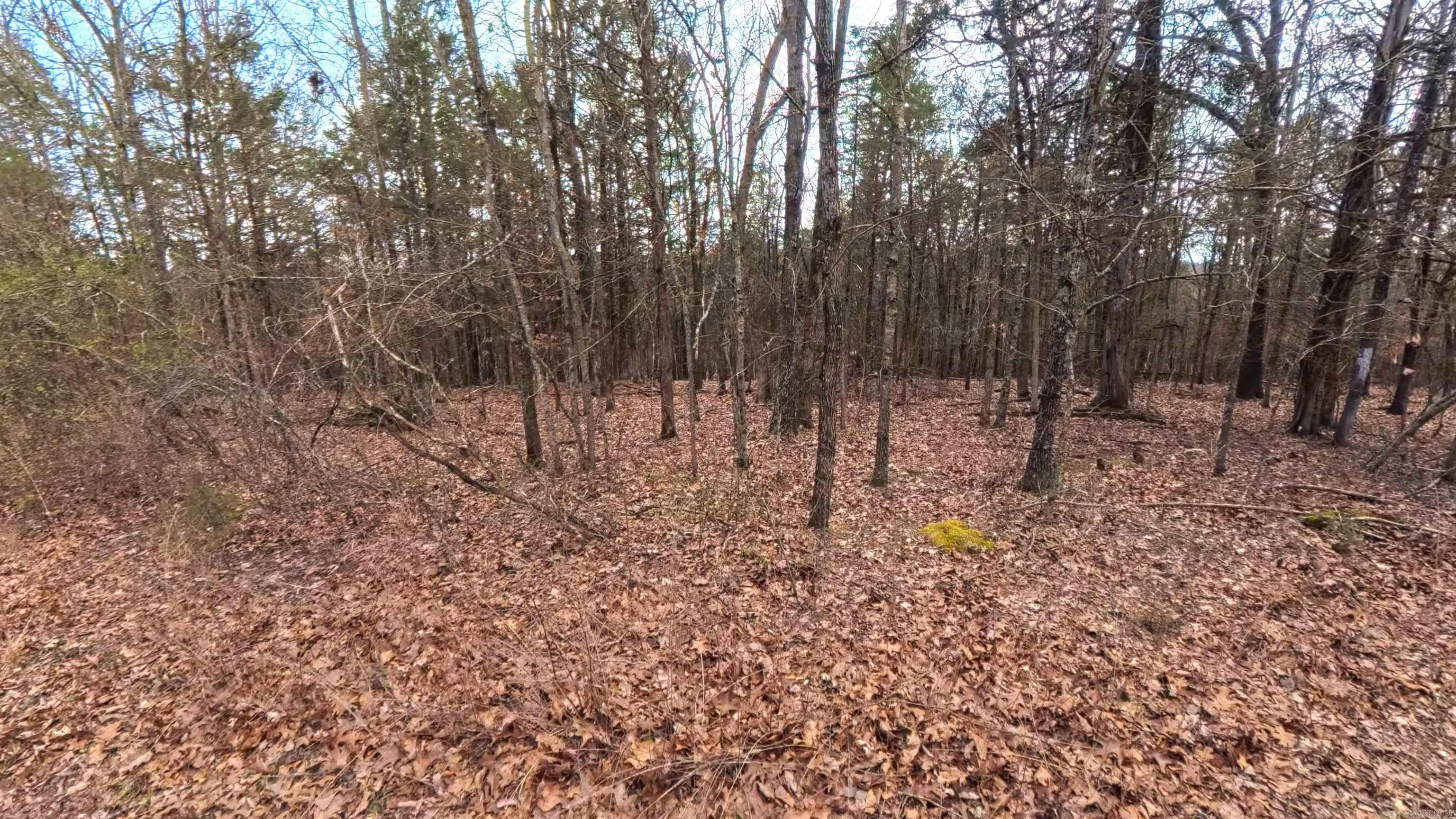 000 Rainwood  Yellville, AR