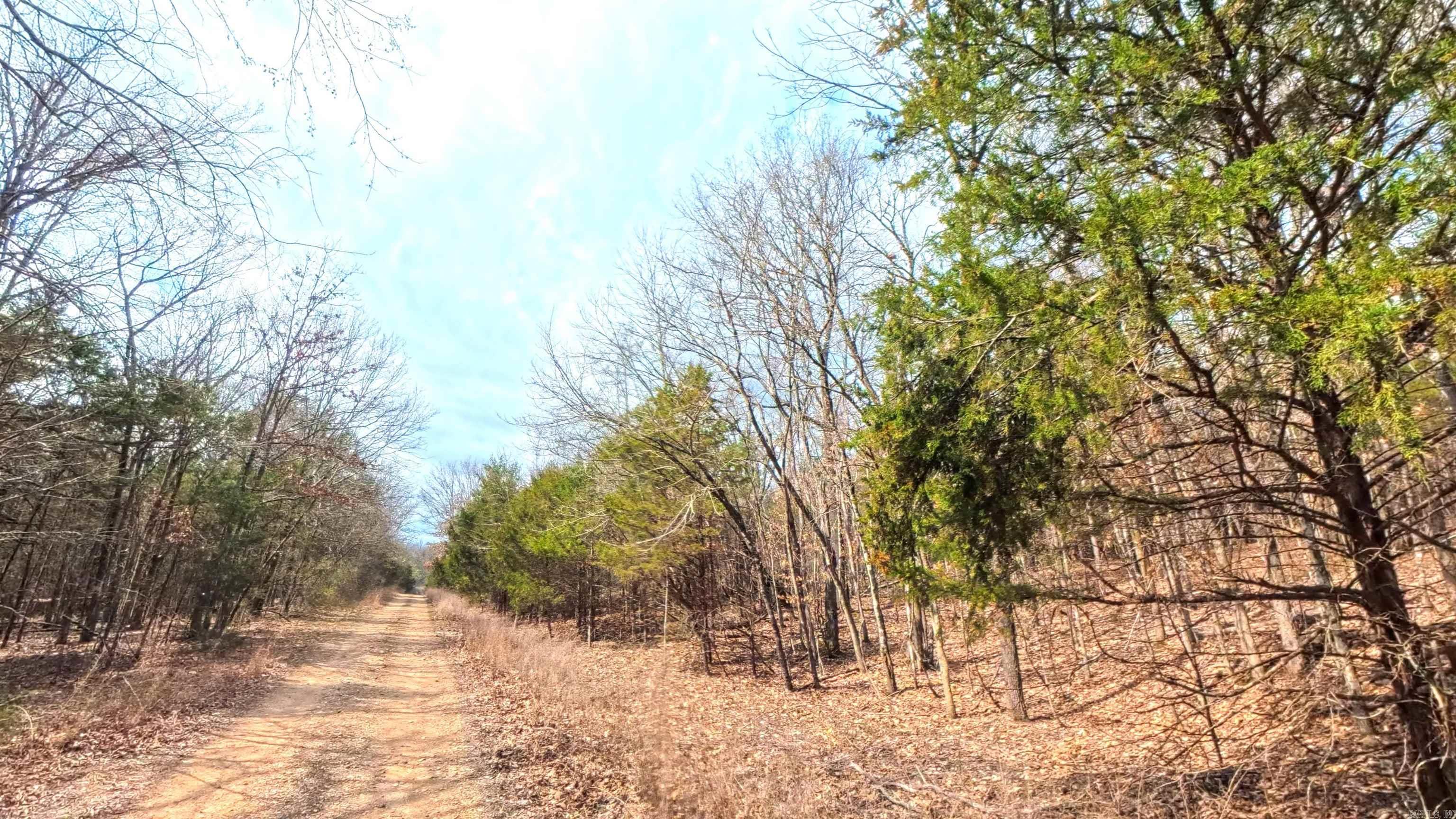 000 Rainwood  Yellville, AR