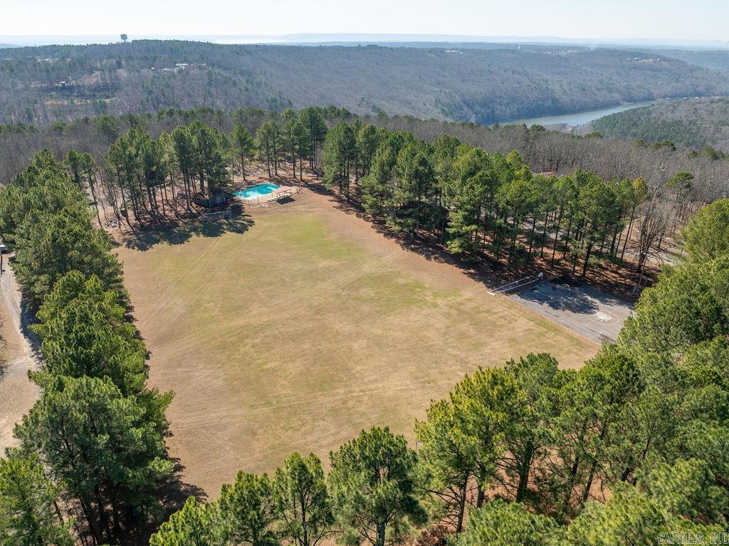 295 Prim Rd  Drasco, AR