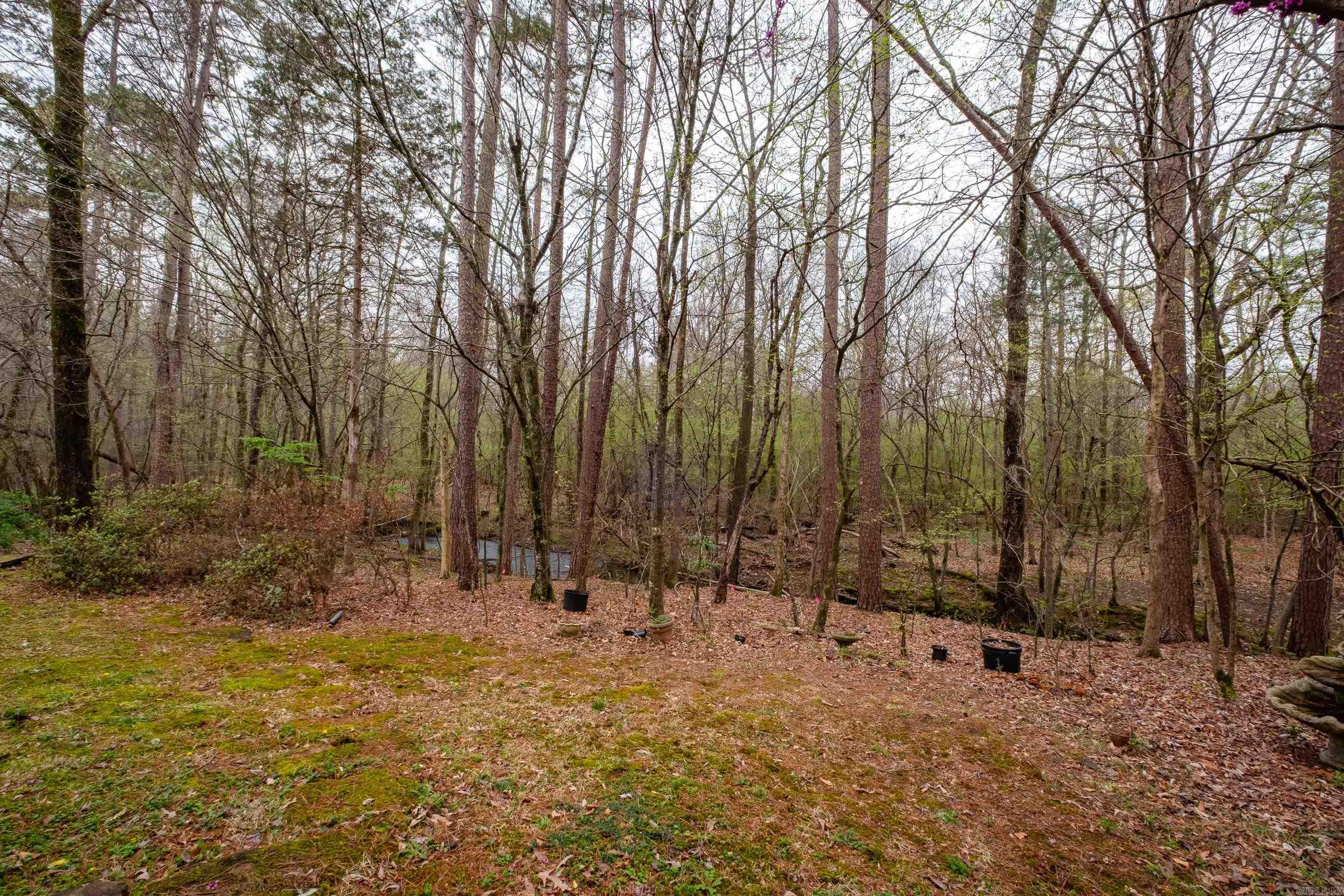 12725 Meadows Edge  Little Rock, AR