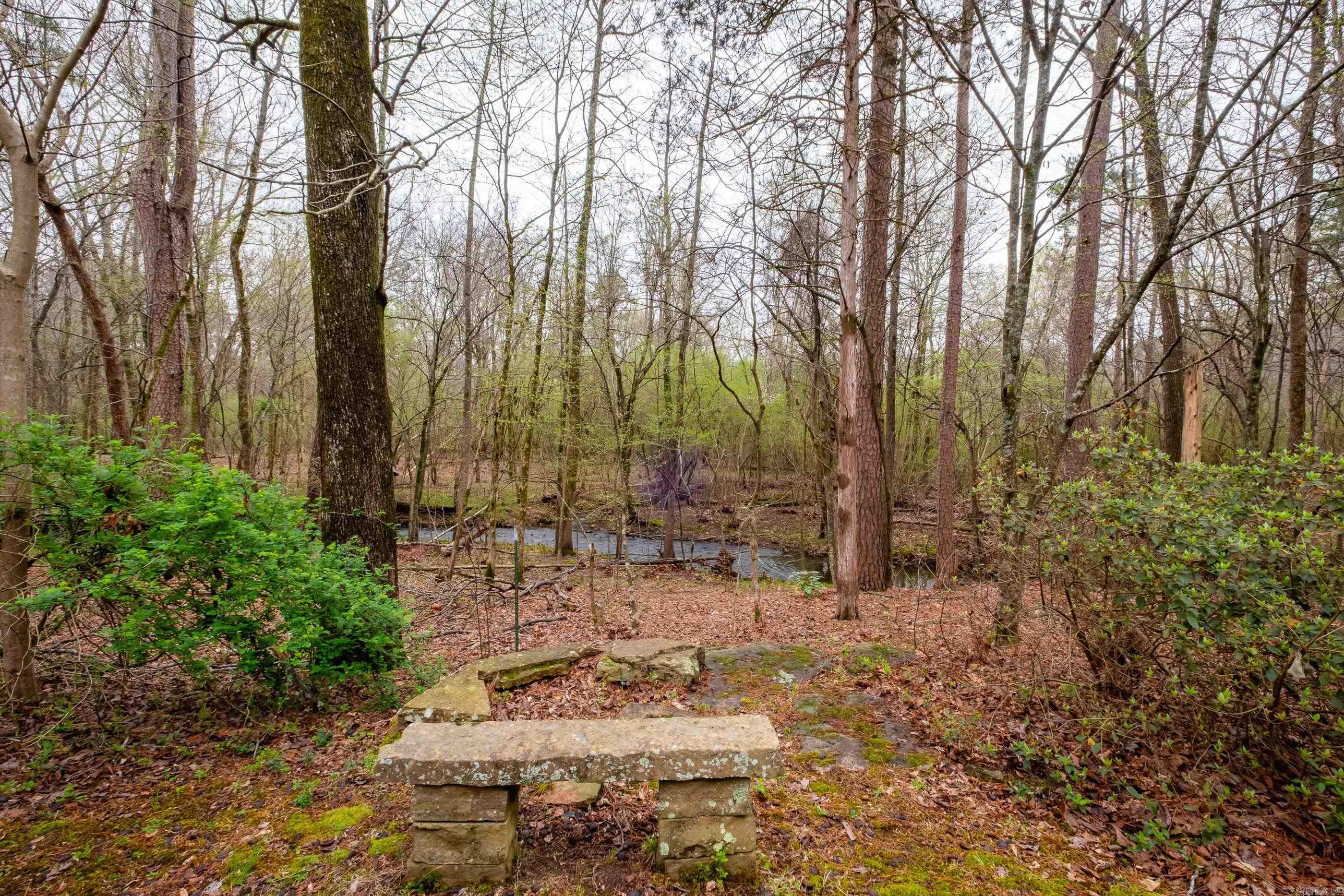 12725 Meadows Edge  Little Rock, AR