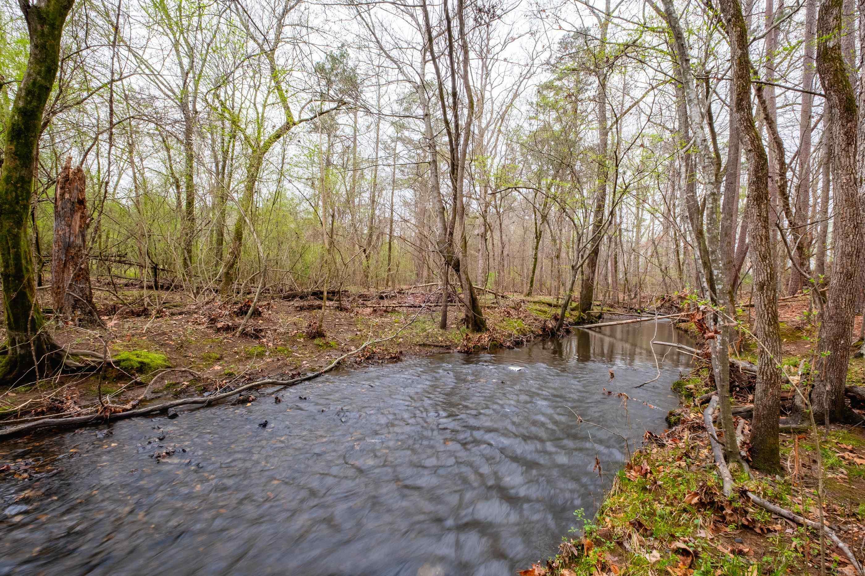 12725 Meadows Edge  Little Rock, AR