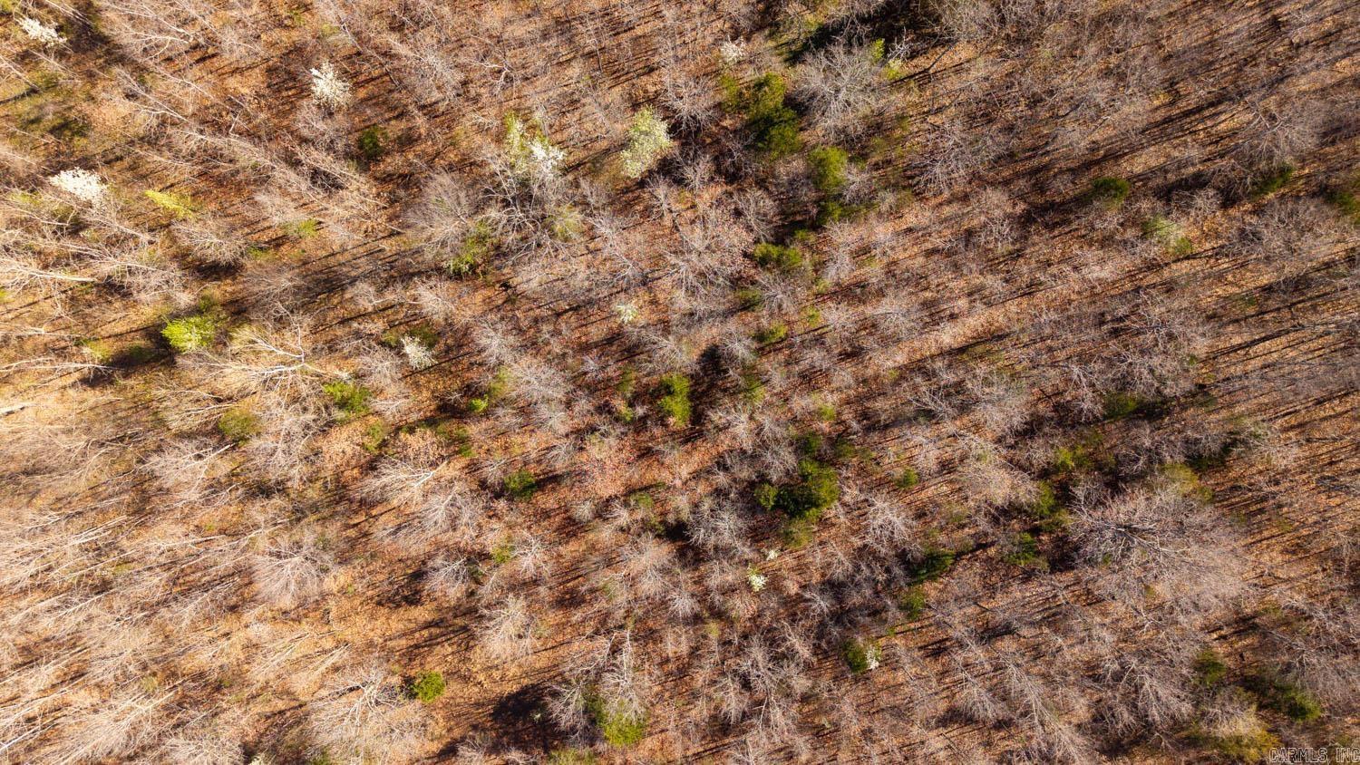 9149 County Road 9640  Koshkonong, MO