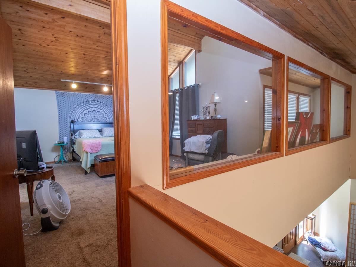 23 Witness Tree  Paron, AR