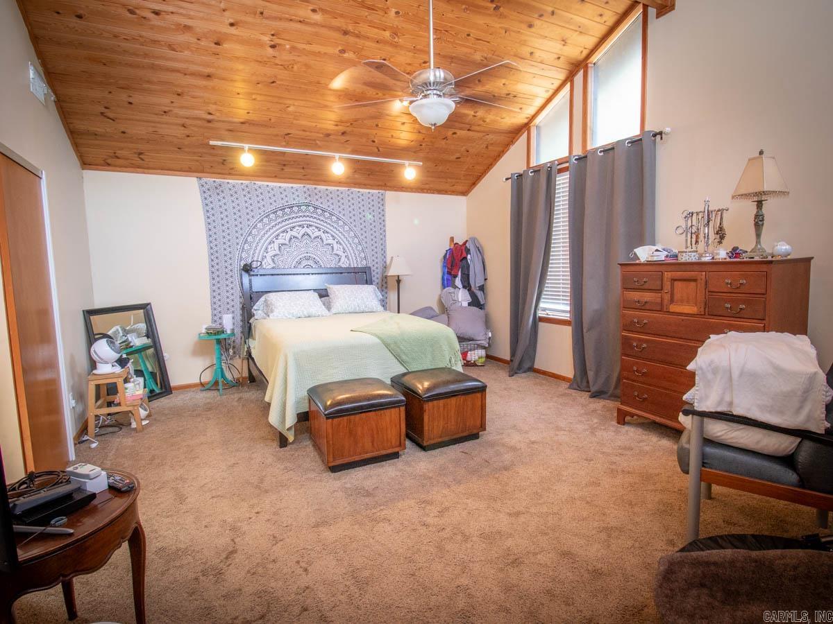 23 Witness Tree  Paron, AR