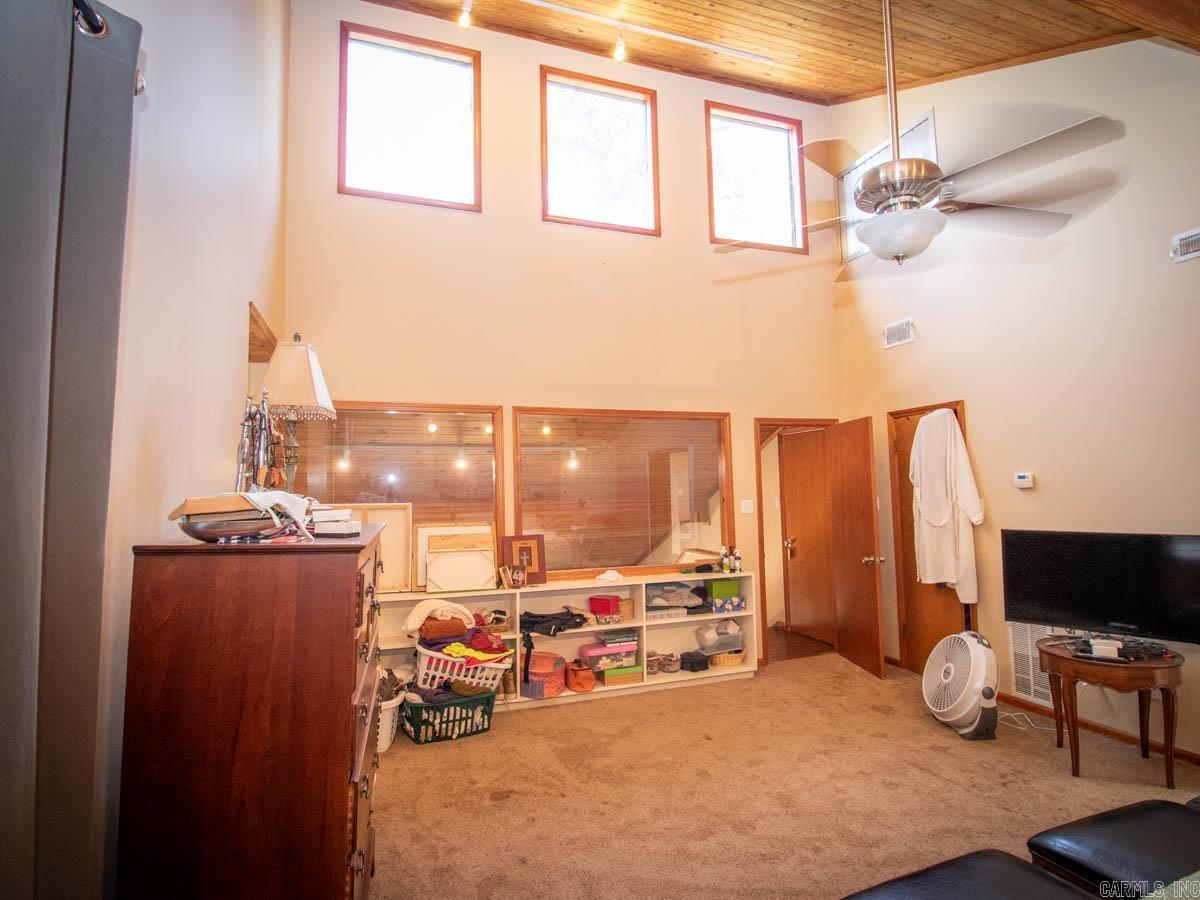 23 Witness Tree  Paron, AR