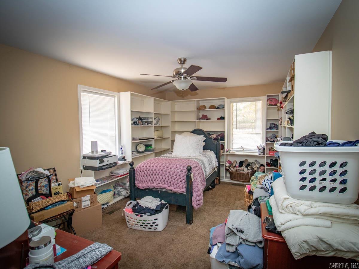 23 Witness Tree  Paron, AR