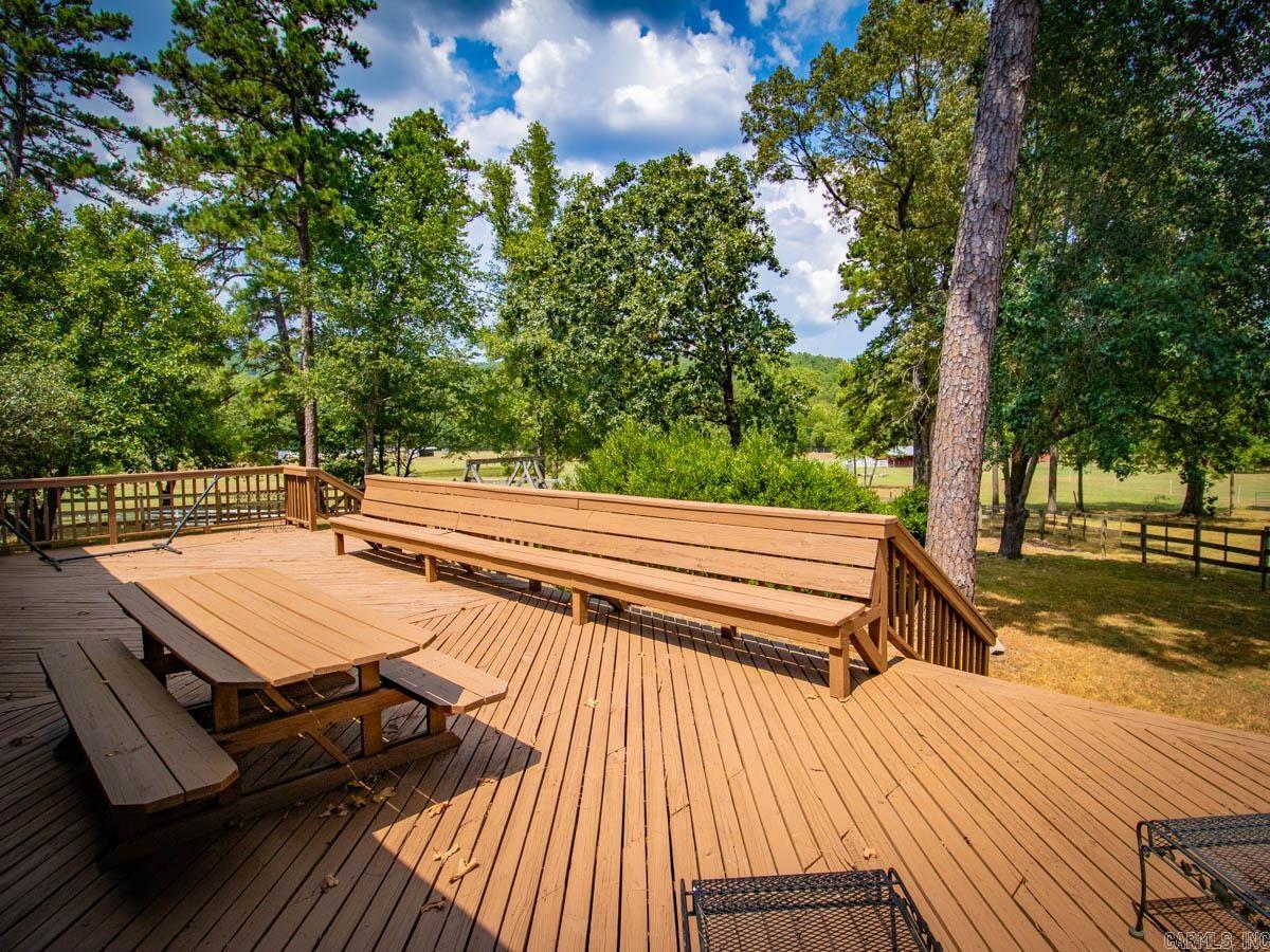 23 Witness Tree  Paron, AR