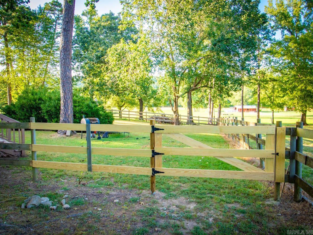 23 Witness Tree  Paron, AR