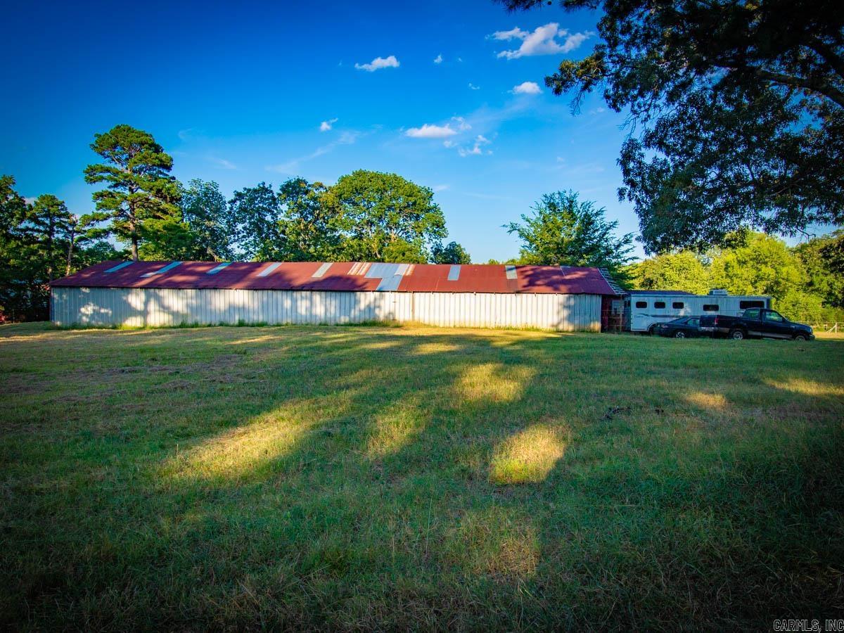 23 Witness Tree  Paron, AR