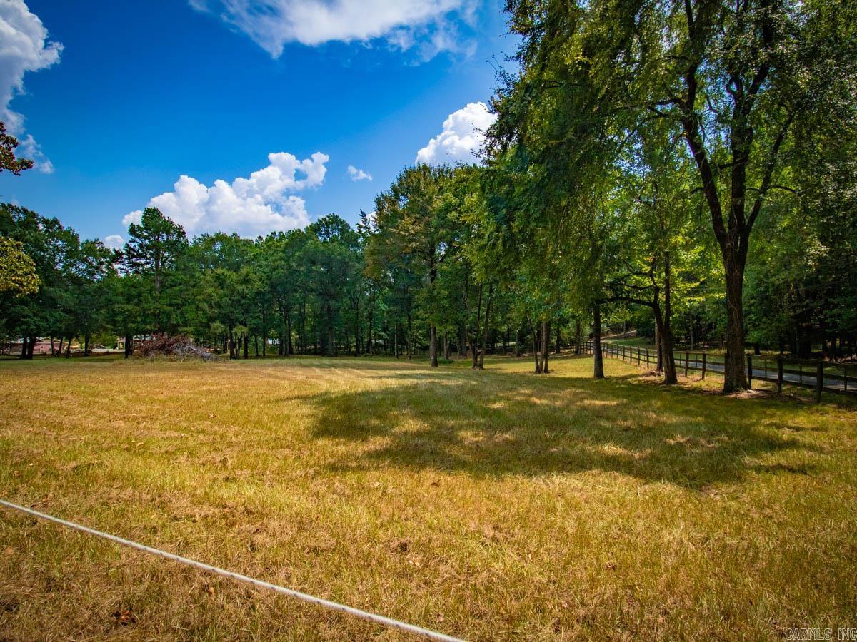 23 Witness Tree  Paron, AR