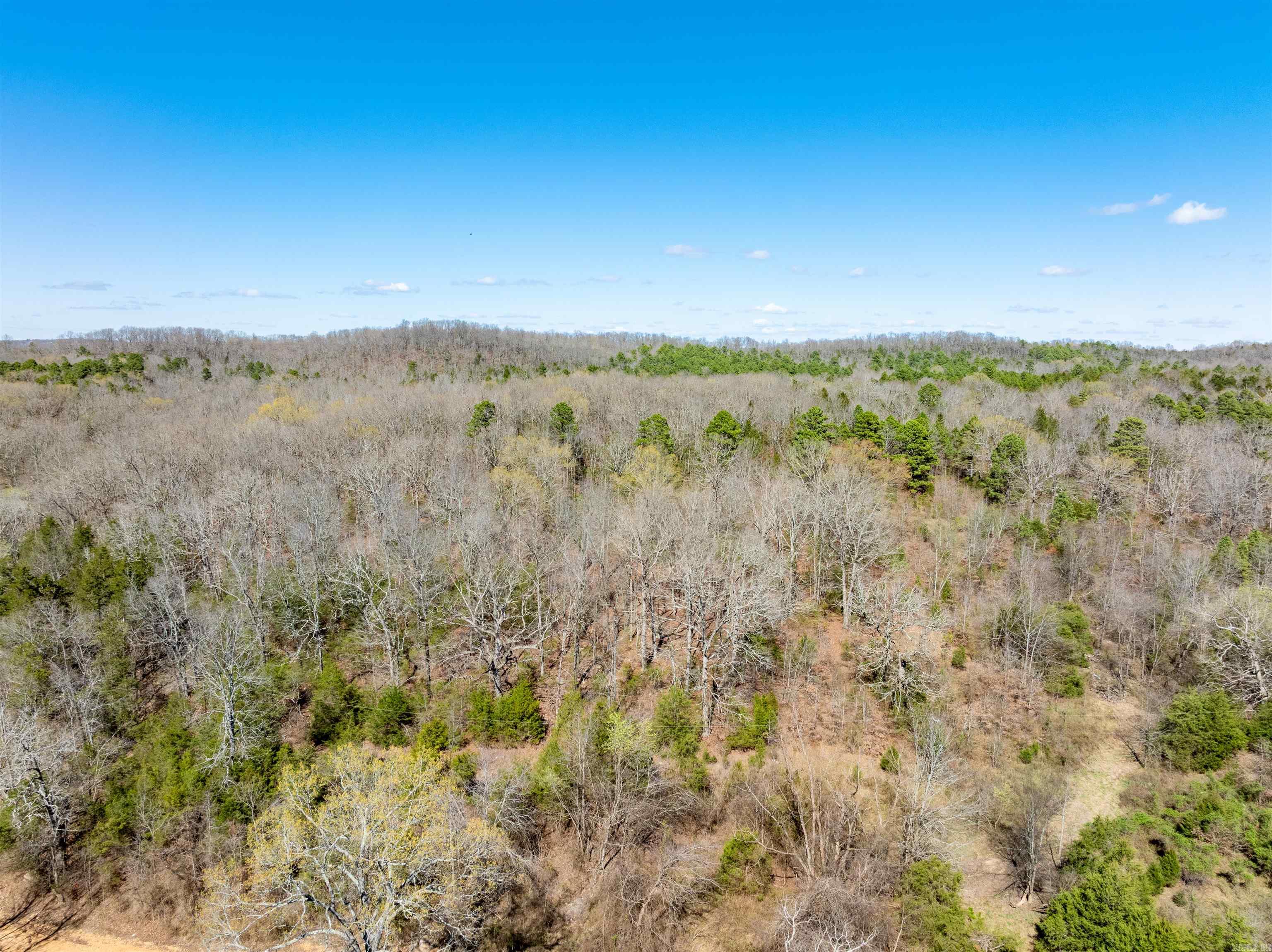 651 Golden  Cave City, AR