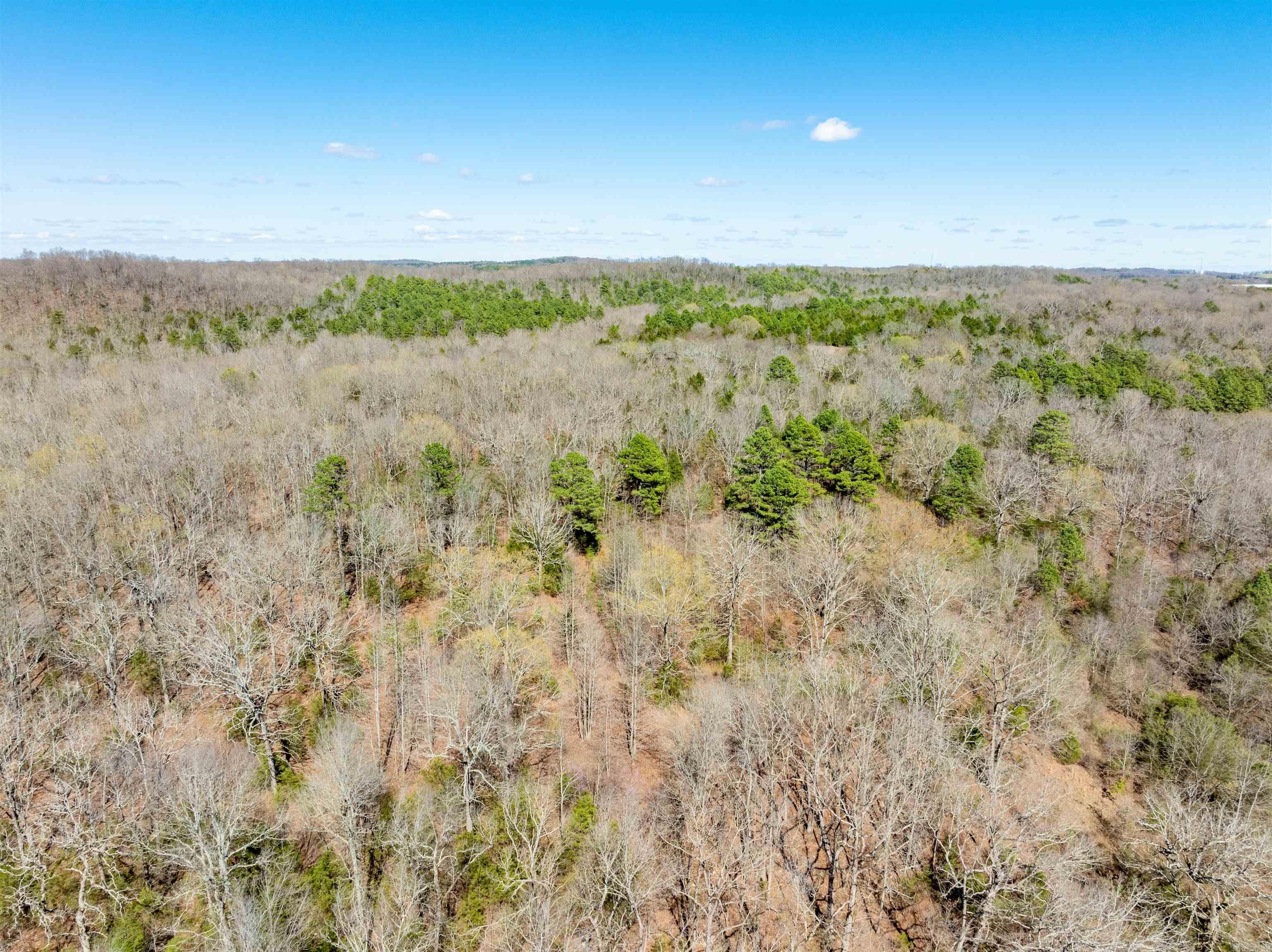 651 Golden  Cave City, AR