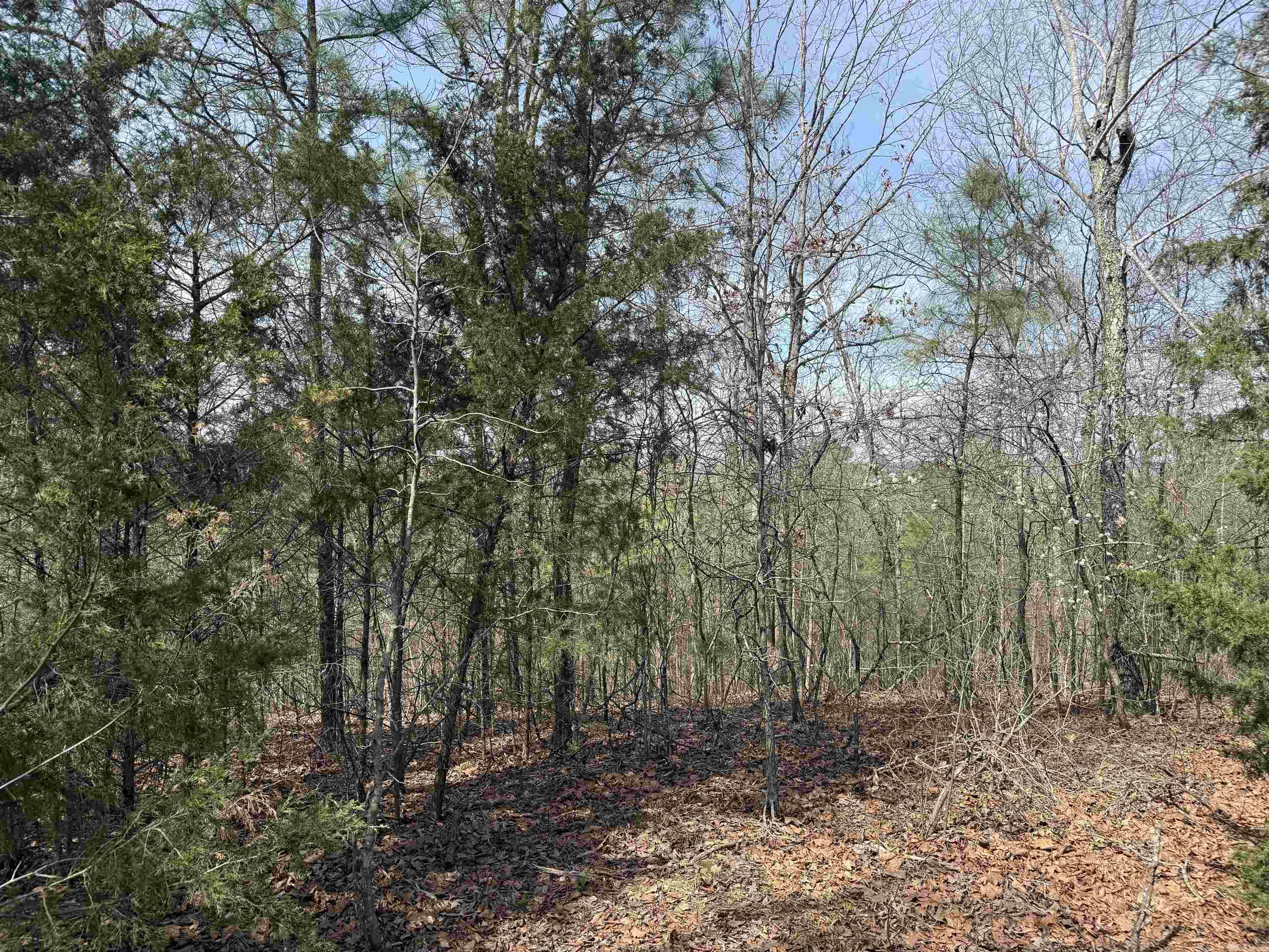 Lot 49 Mustang Drive  Clinton, AR