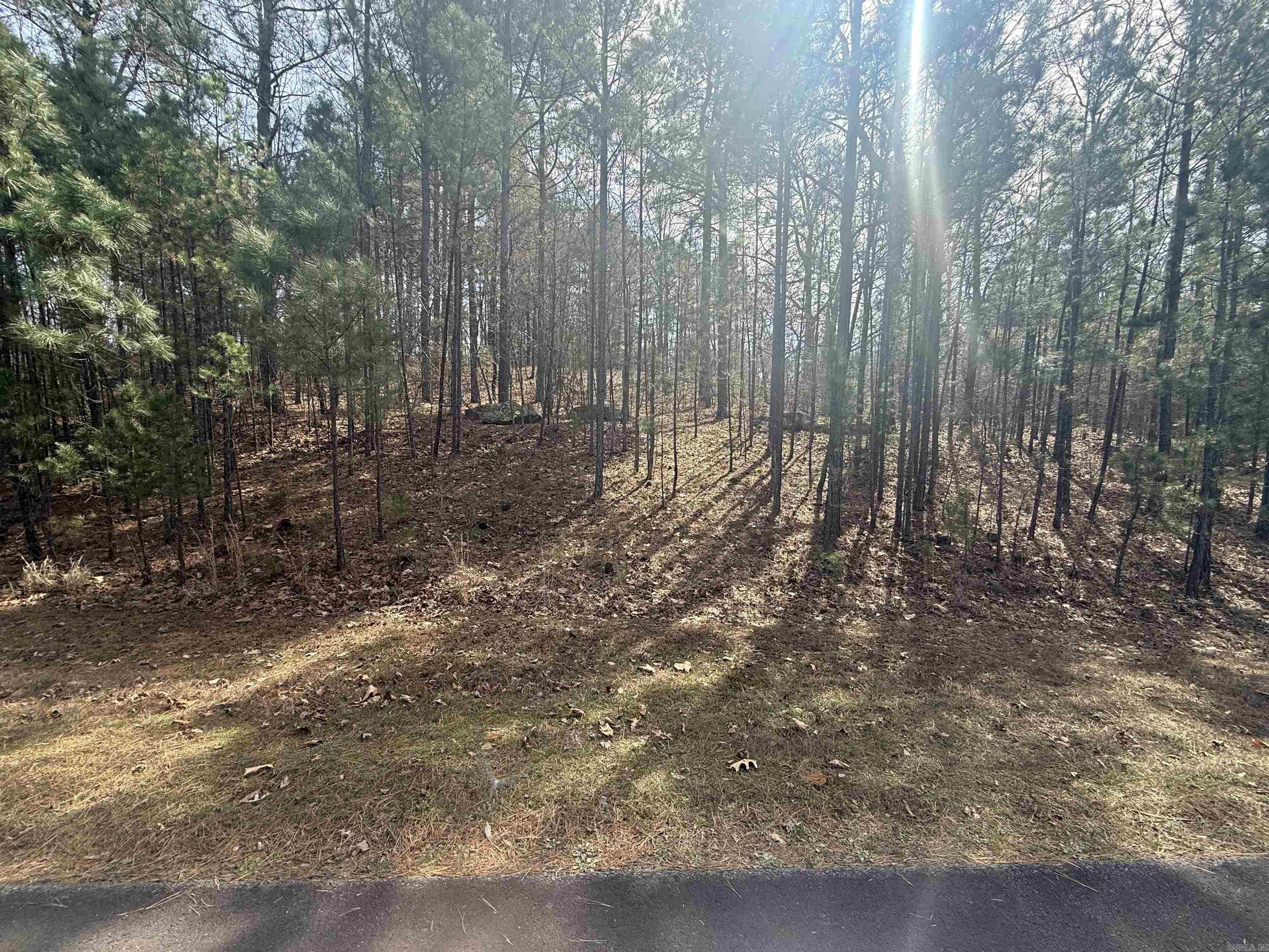 Lot 49 Mustang Drive  Clinton, AR