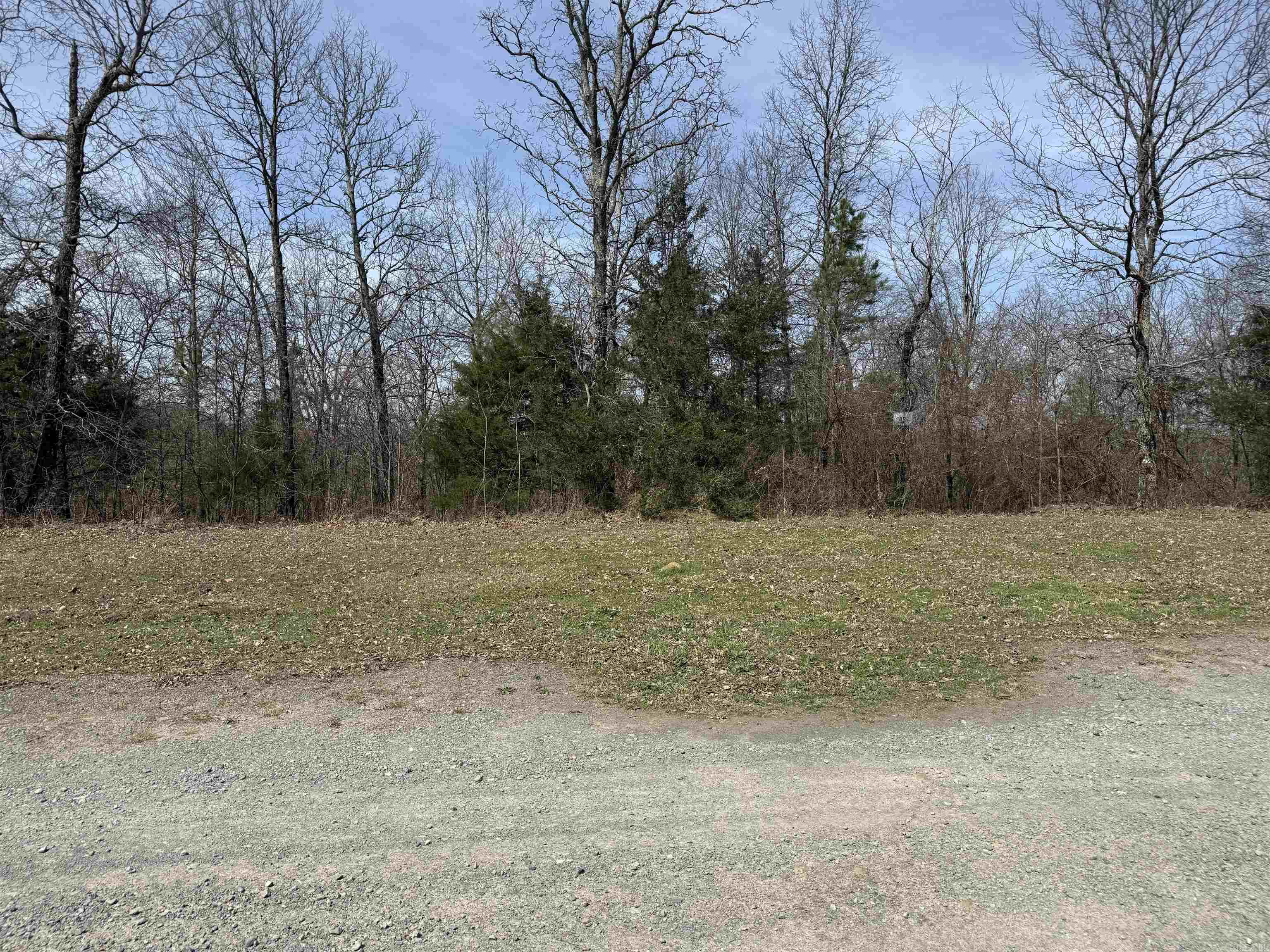 Lot 49 Mustang Drive  Clinton, AR