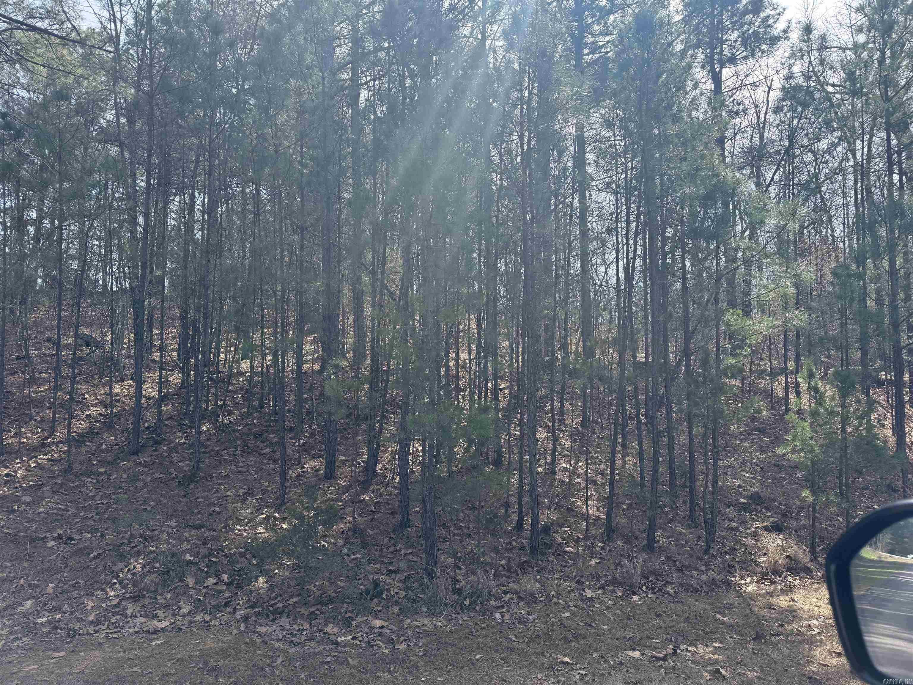 Lot 49 Mustang Drive  Clinton, AR