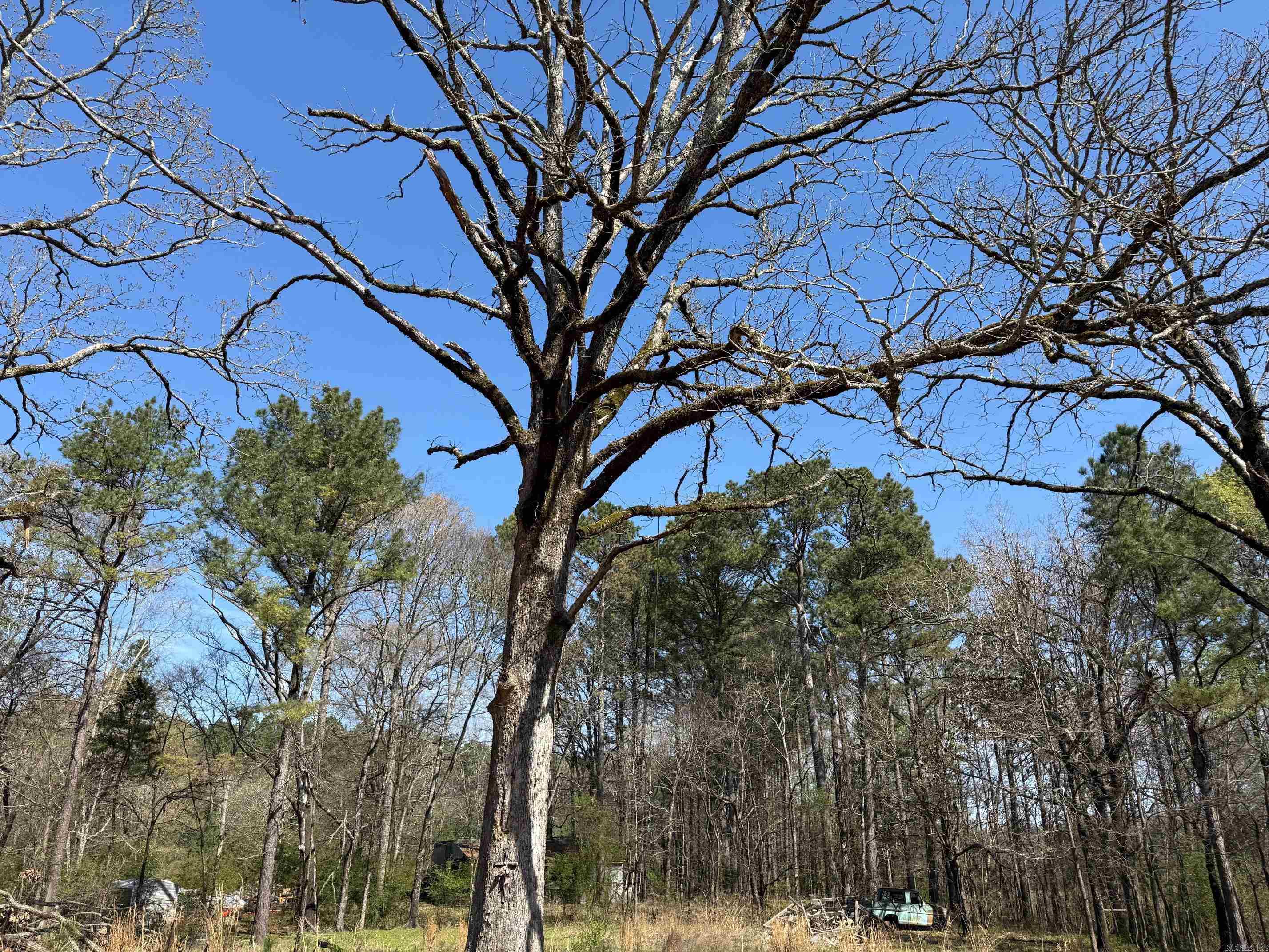 TBD Old Bear  Royal, AR