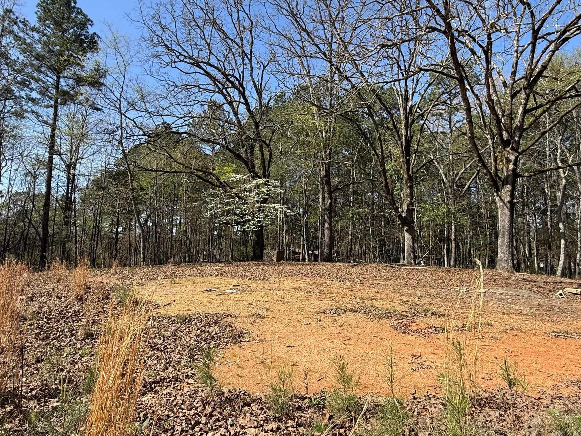 TBD Old Bear  Royal, AR