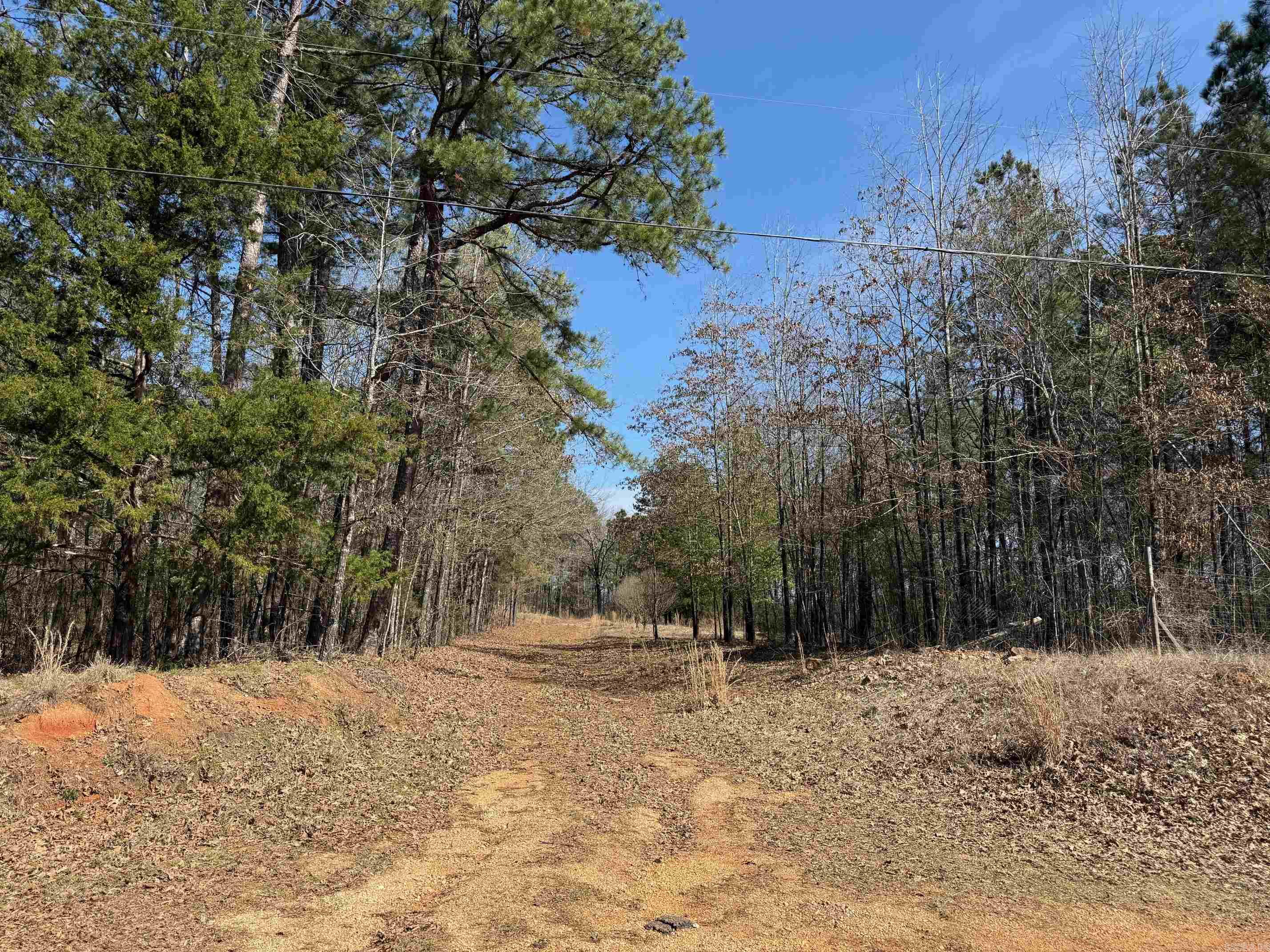 TBD Old Bear  Royal, AR