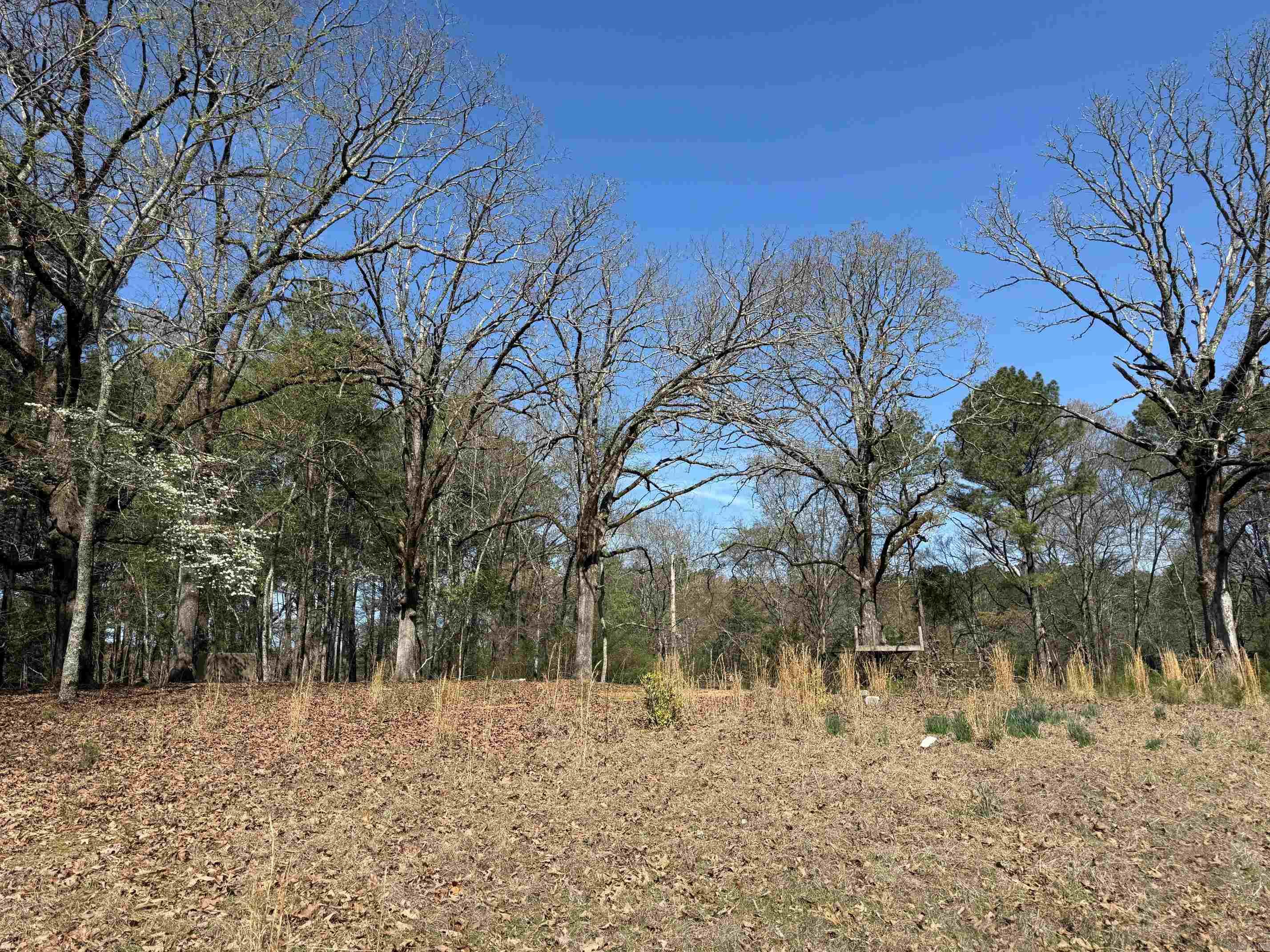 TBD Old Bear  Royal, AR