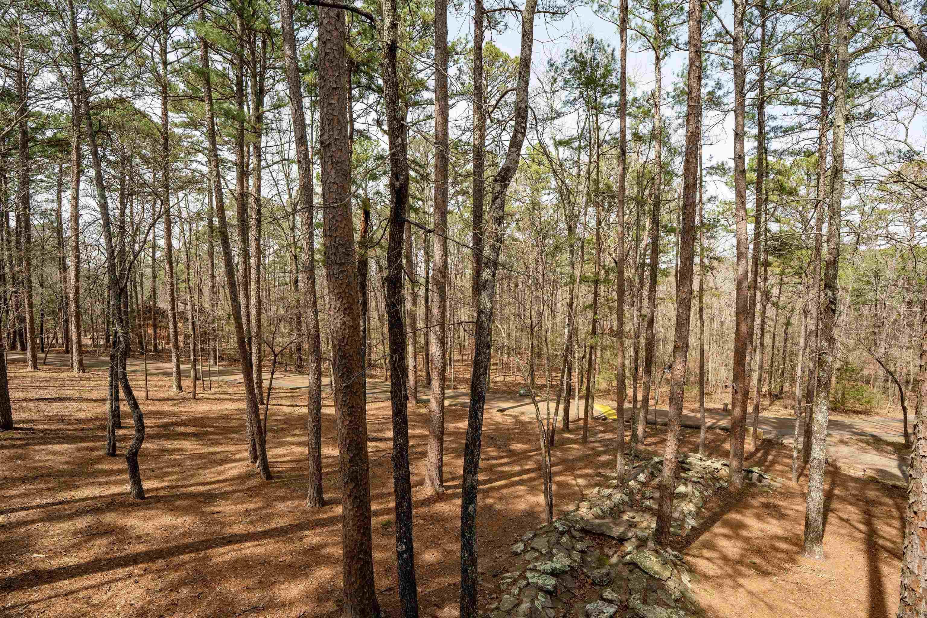 1499 Tannenbaum  Drasco, AR