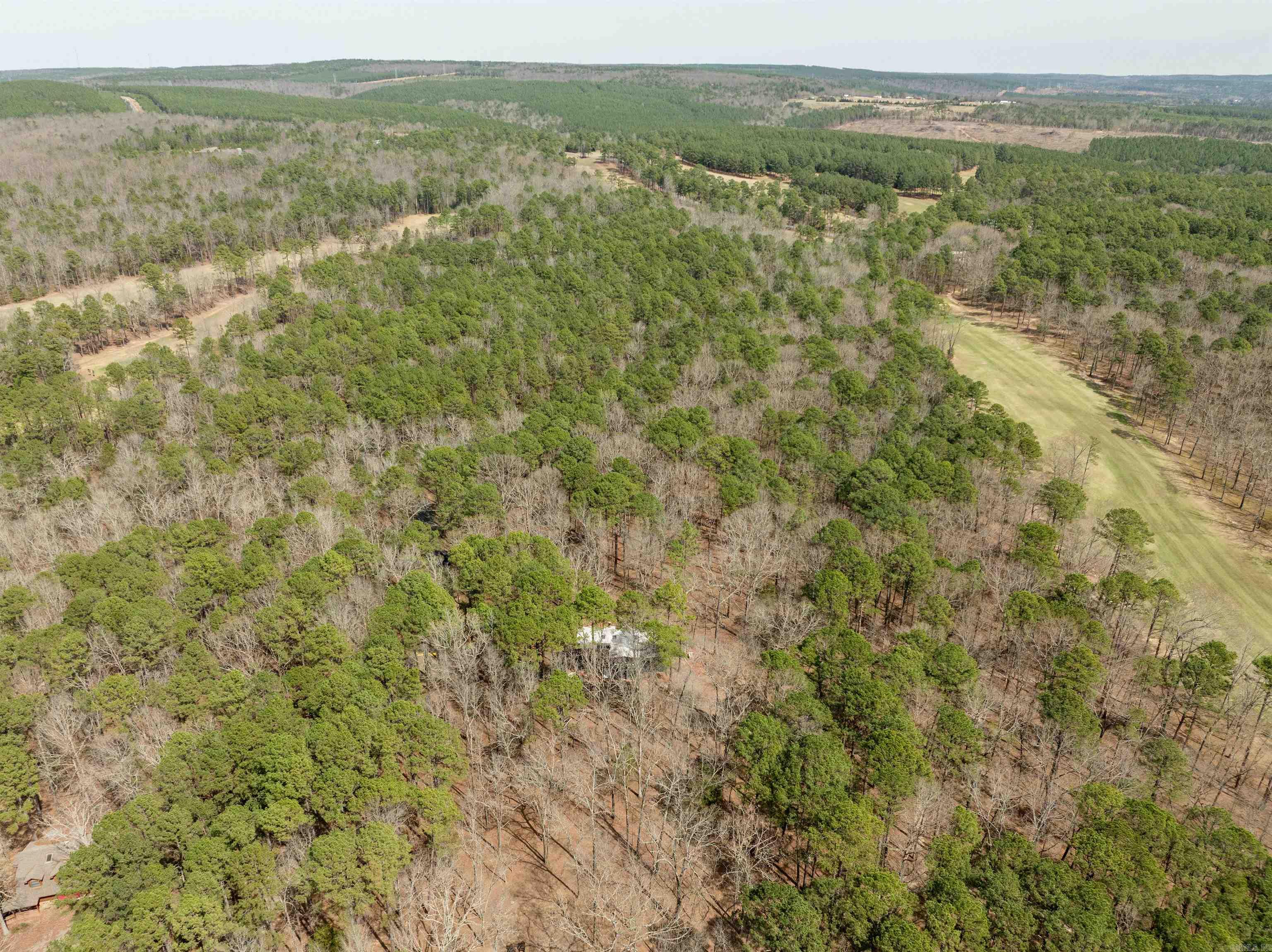 1499 Tannenbaum  Drasco, AR