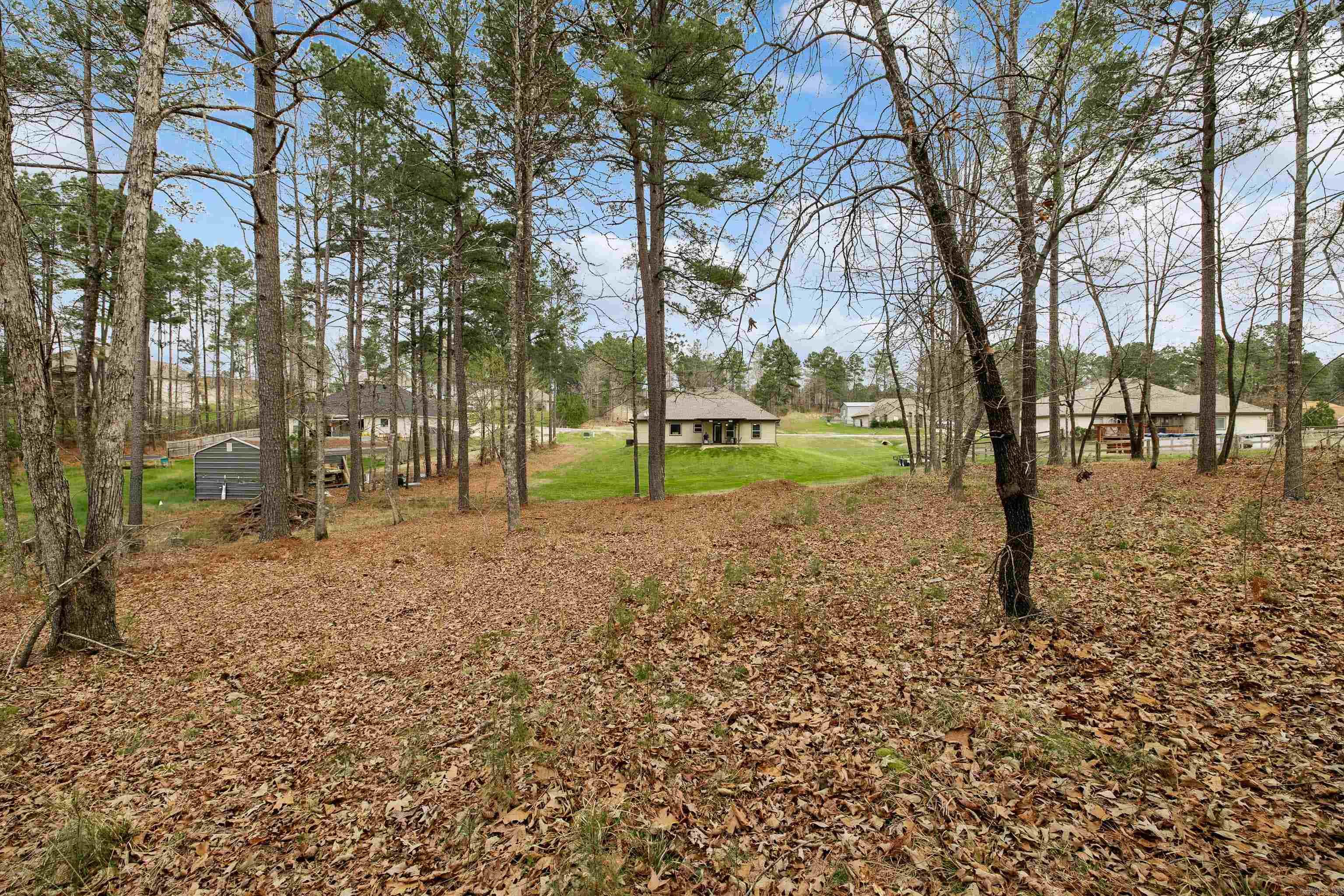 257 Reuben Drive  Alexander, AR