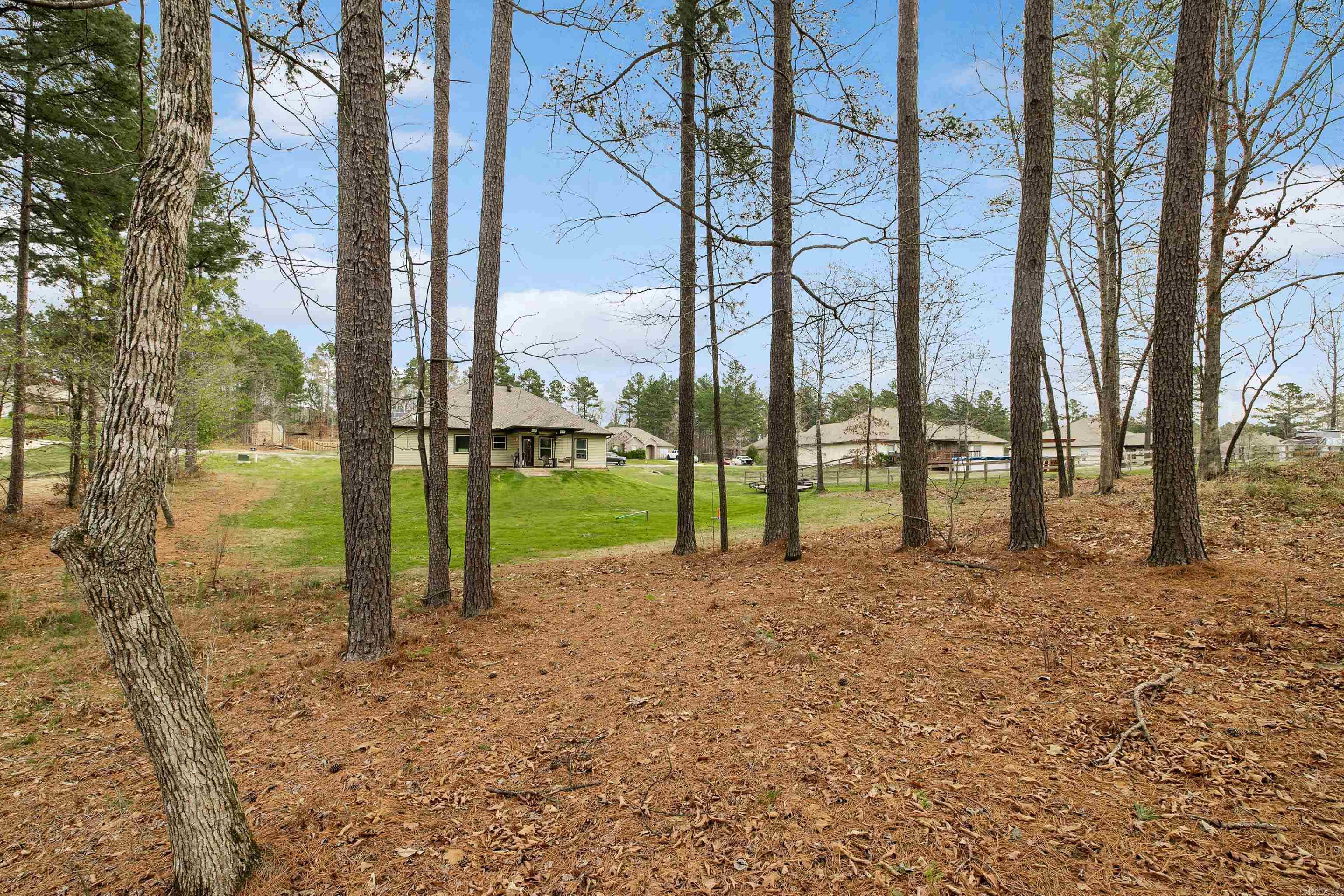 257 Reuben Drive  Alexander, AR
