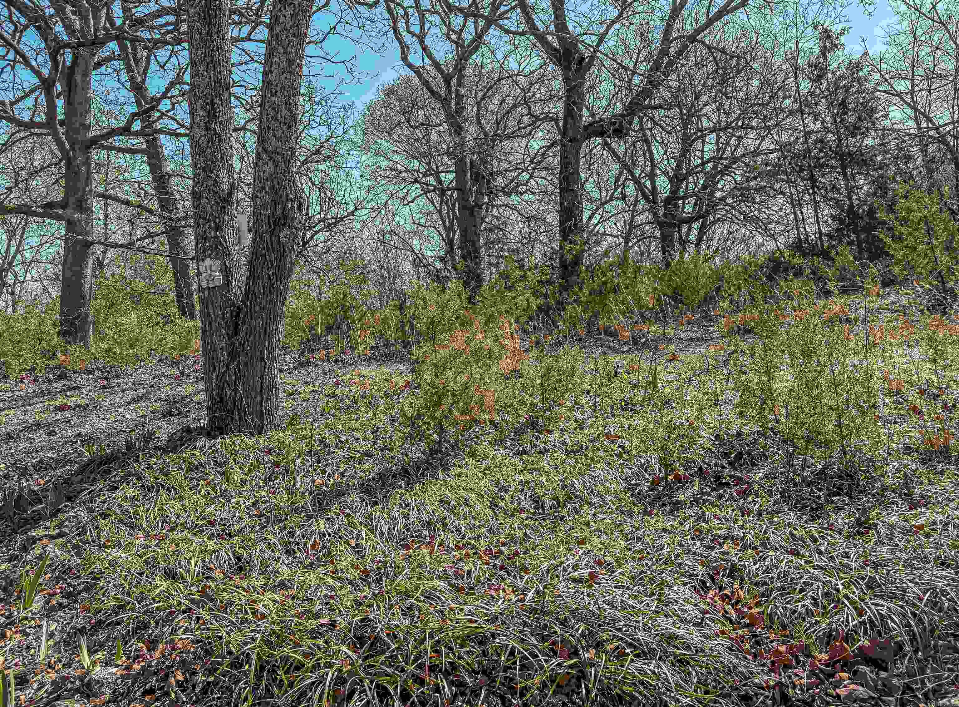 1013 Broadway  Yellville, AR