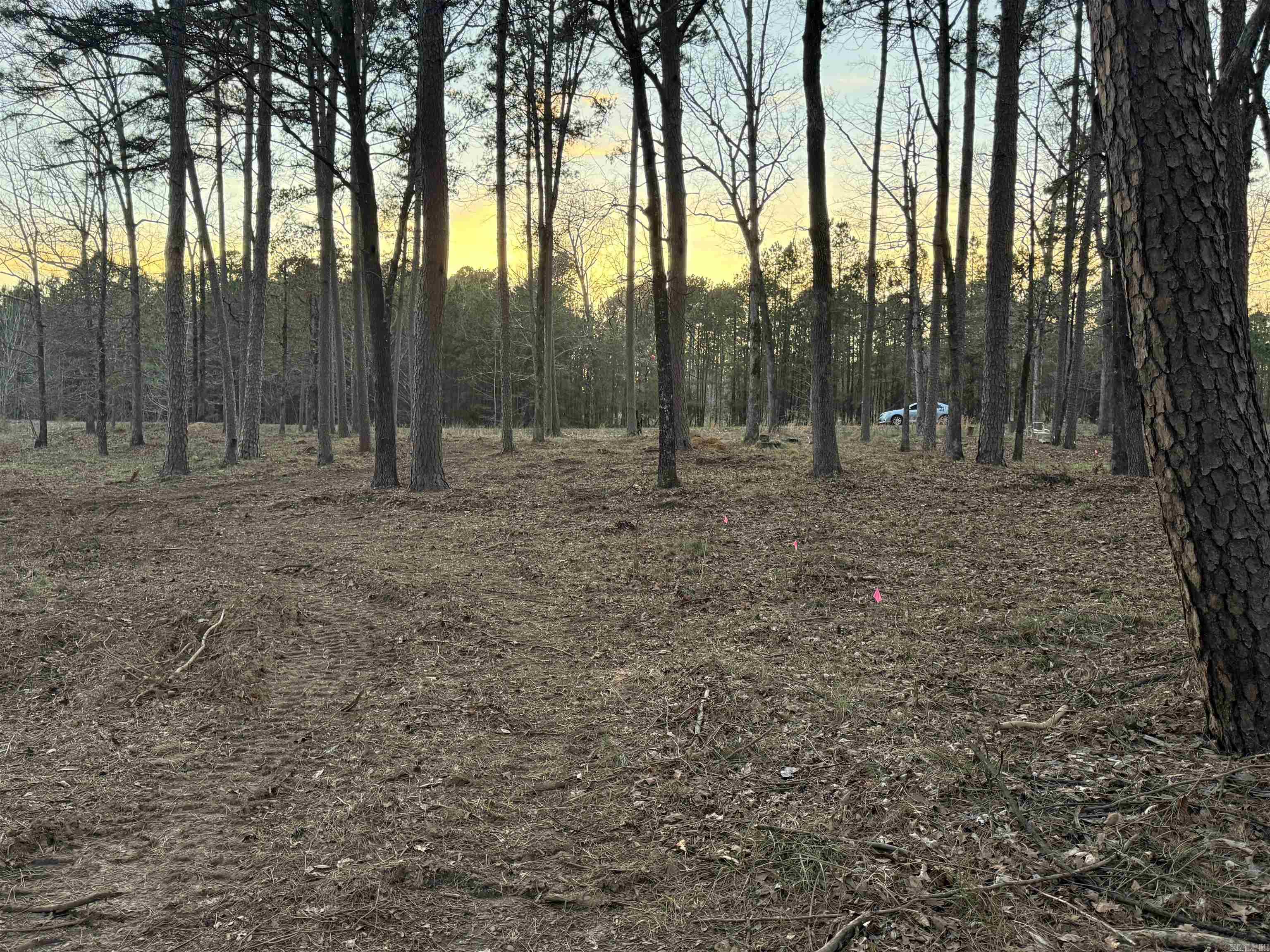 525 E Shore  Drasco, AR