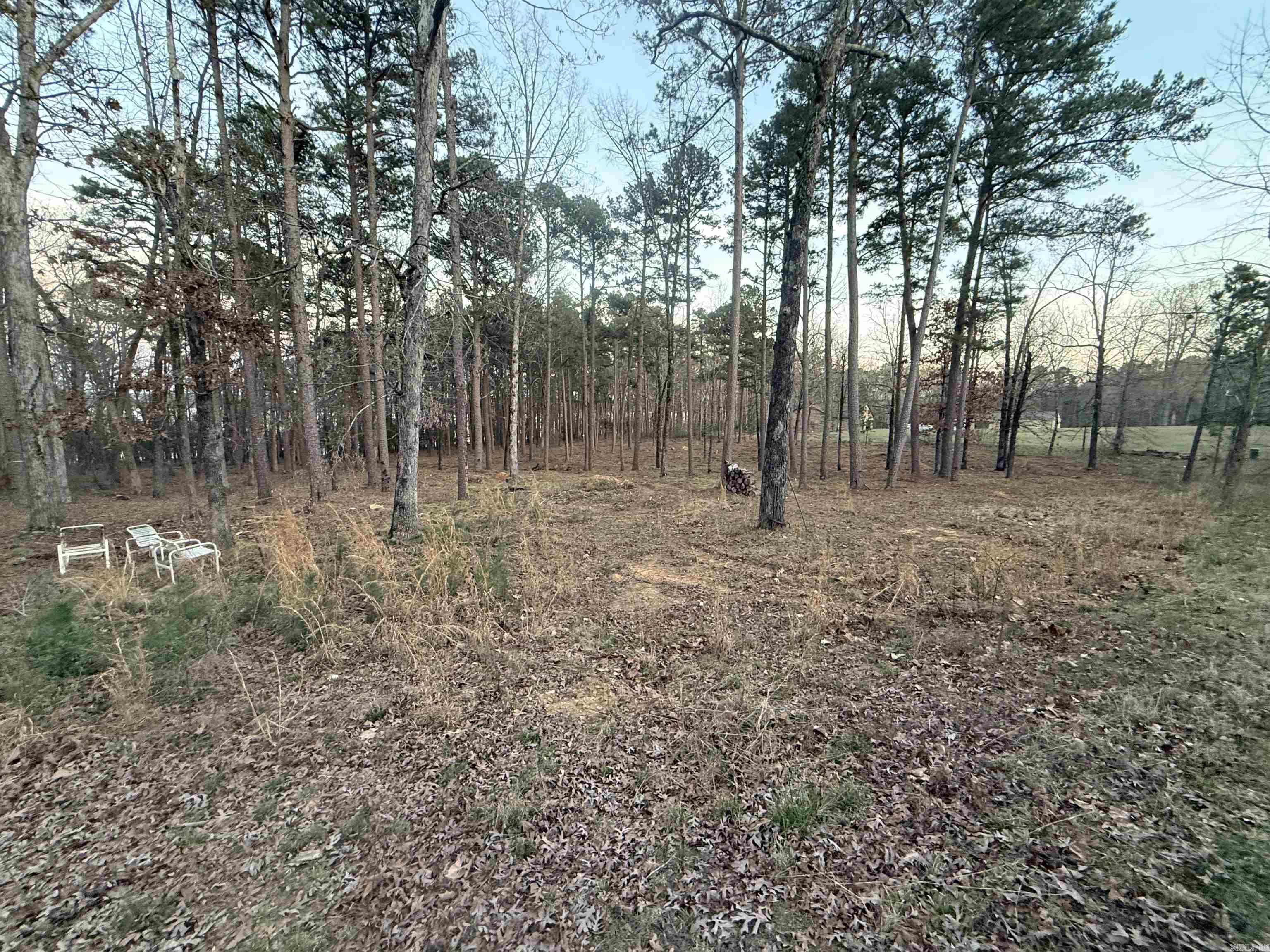 525 E Shore  Drasco, AR