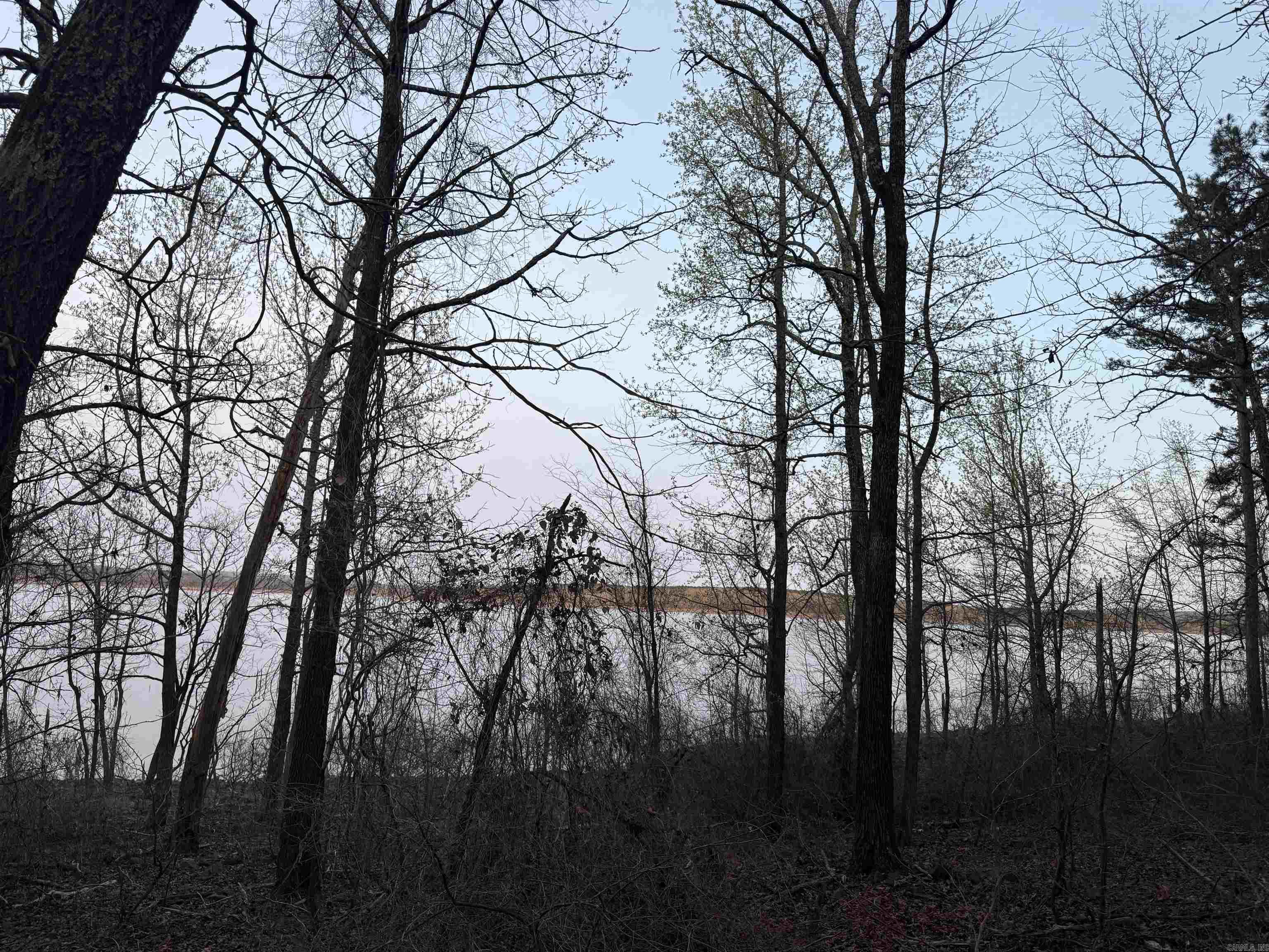 525 E Shore  Drasco, AR